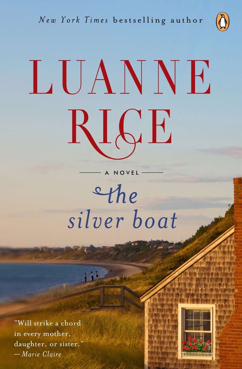 The silver boat cover image