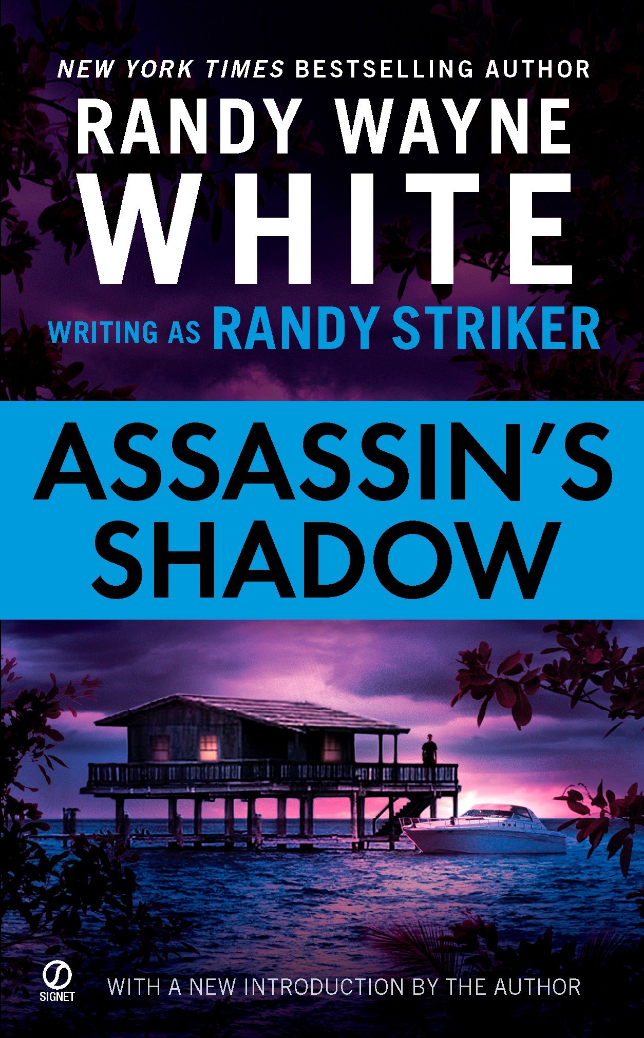 Umschlagbild für Assassin's Shadow [electronic resource] :