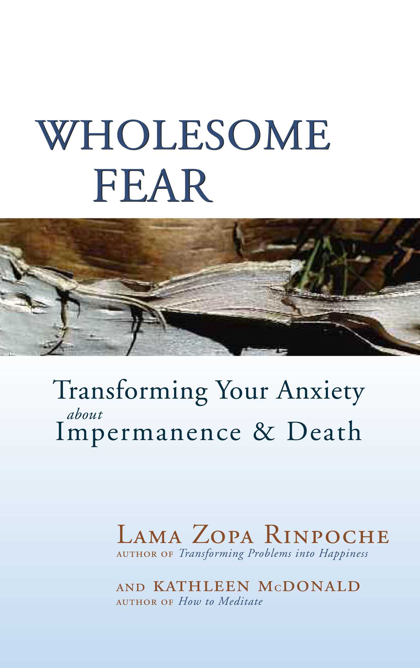 Wholesome Fear Transforming Your Anxiety About Impermanence and Death cover image