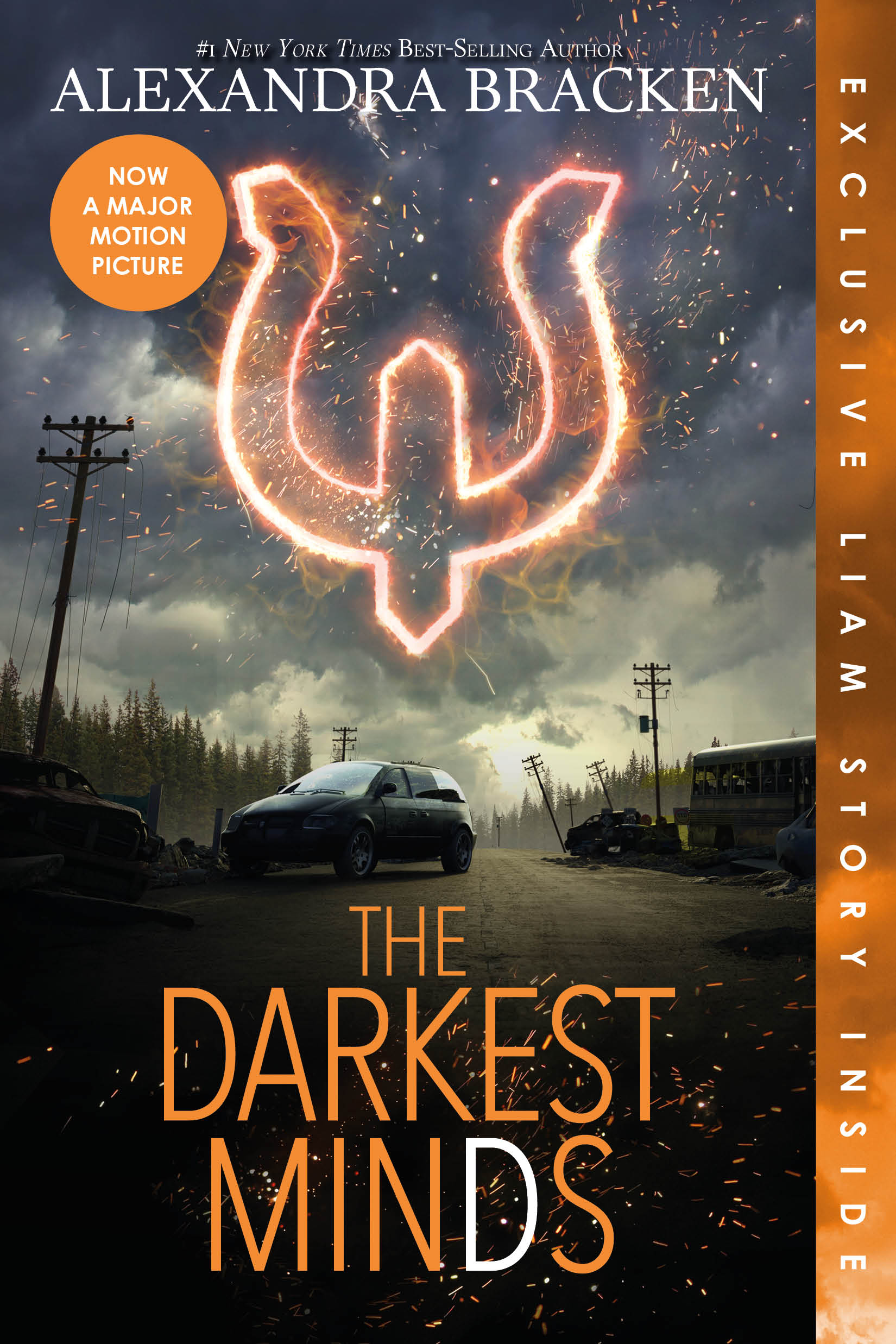 Image de couverture de Darkest Minds, The [electronic resource] :