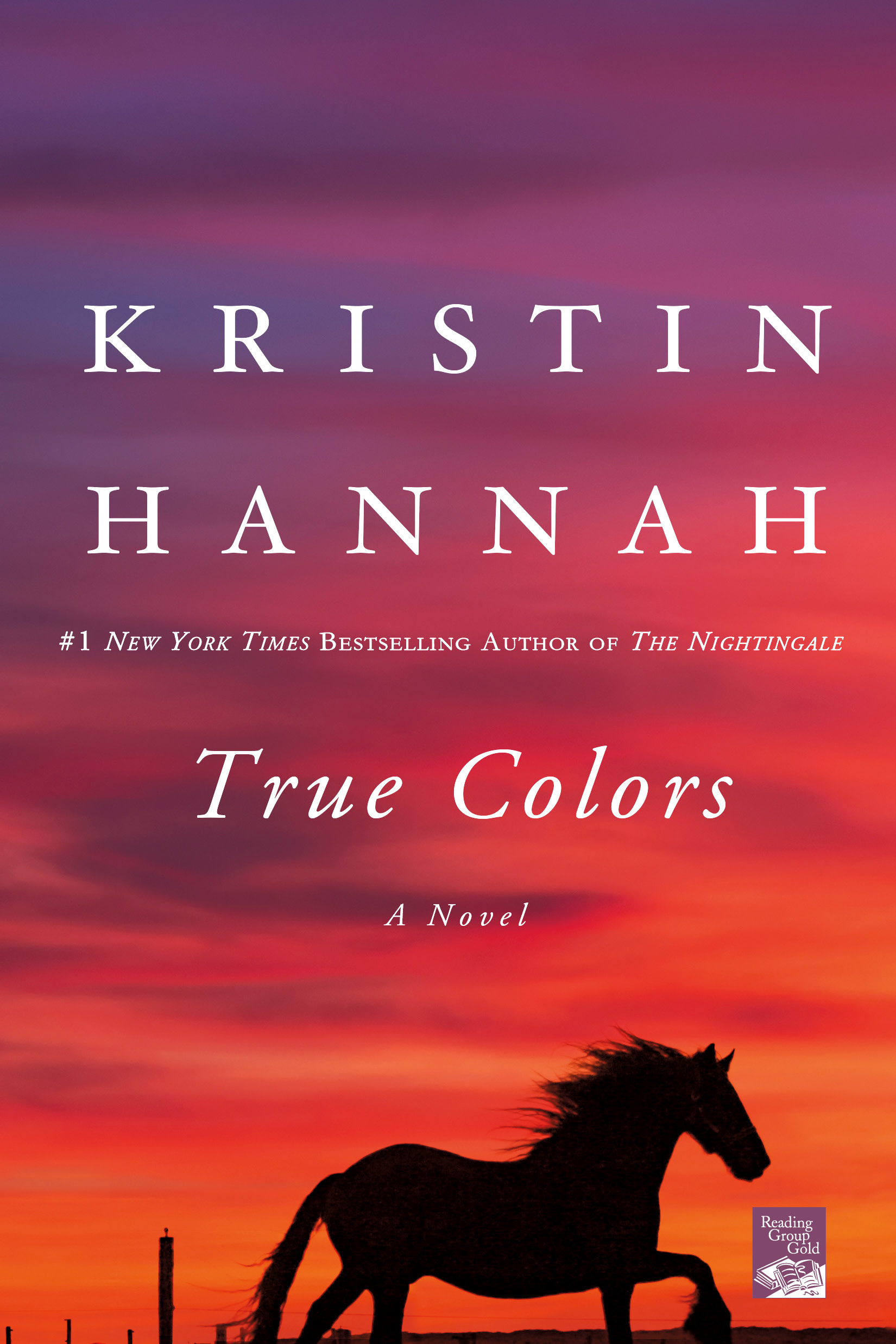 Cover image for True Colors [electronic resource] : A Novel