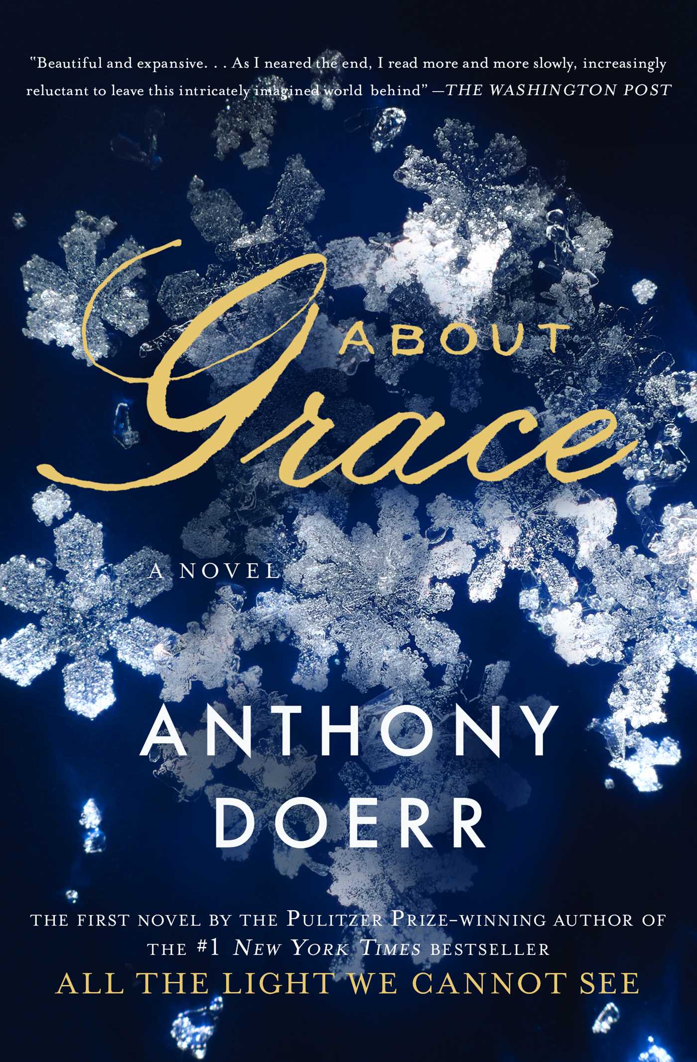 Umschlagbild für About Grace [electronic resource] : A Novel