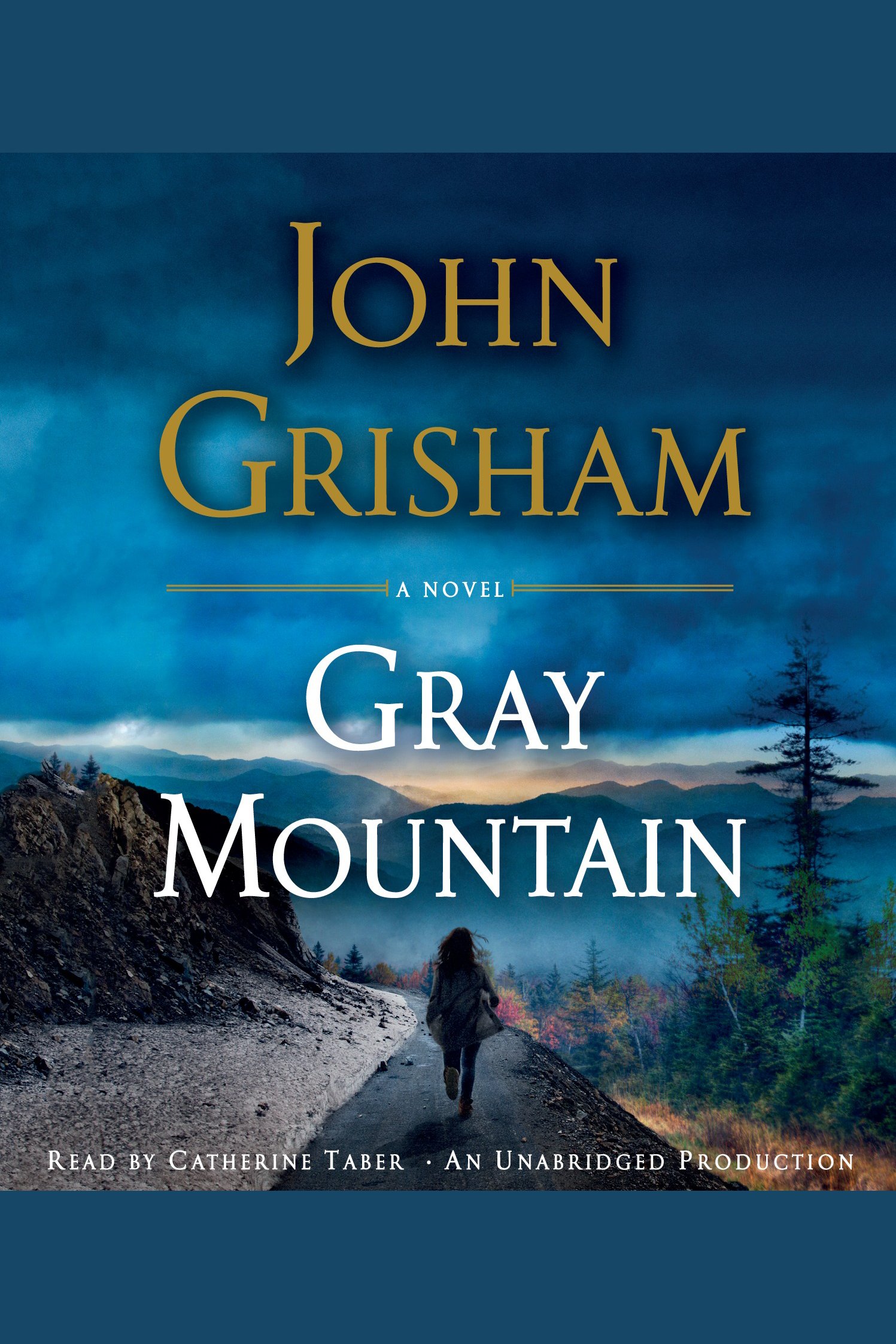 Image de couverture de Gray Mountain [electronic resource] : A Novel