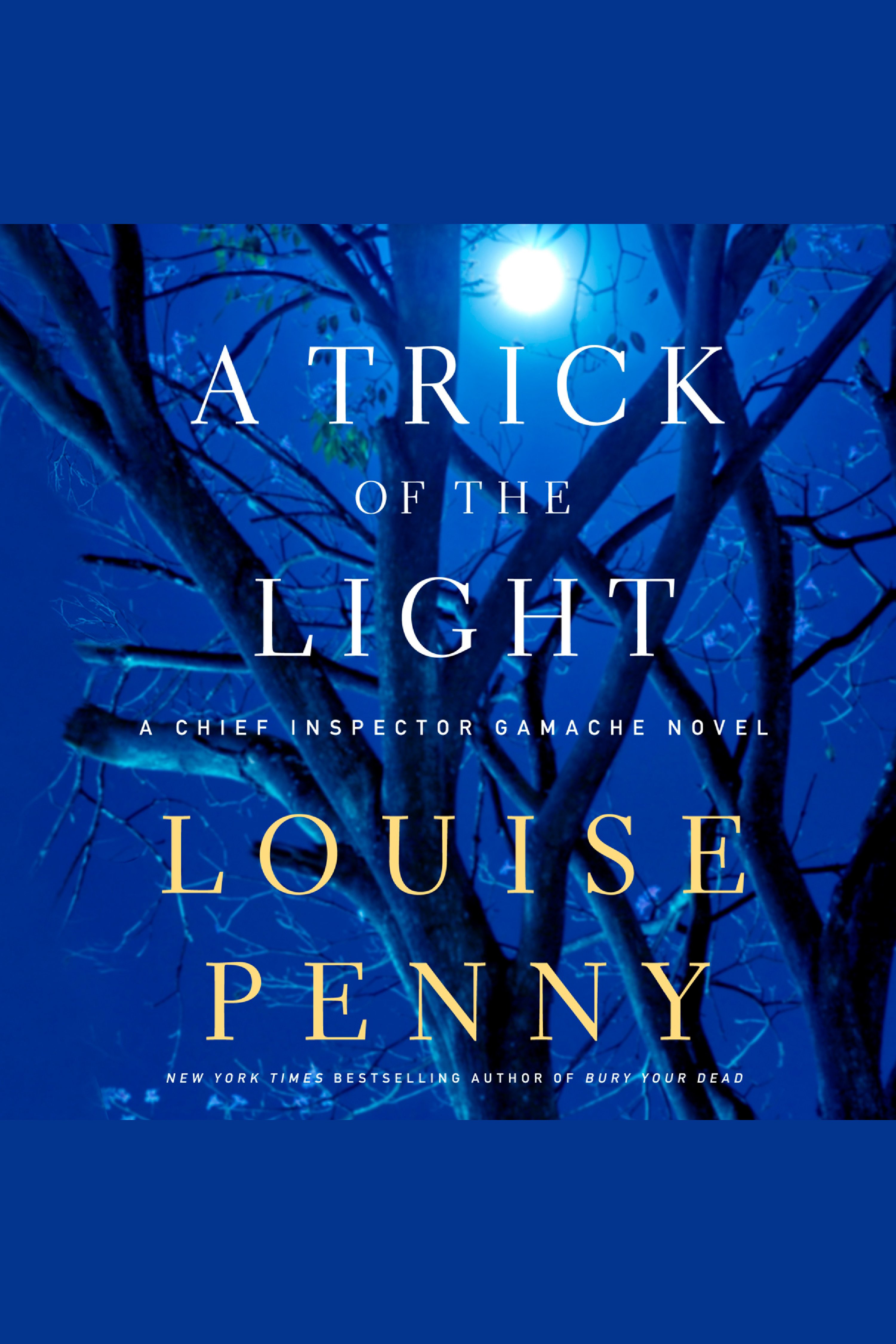 A trick of the light cover image