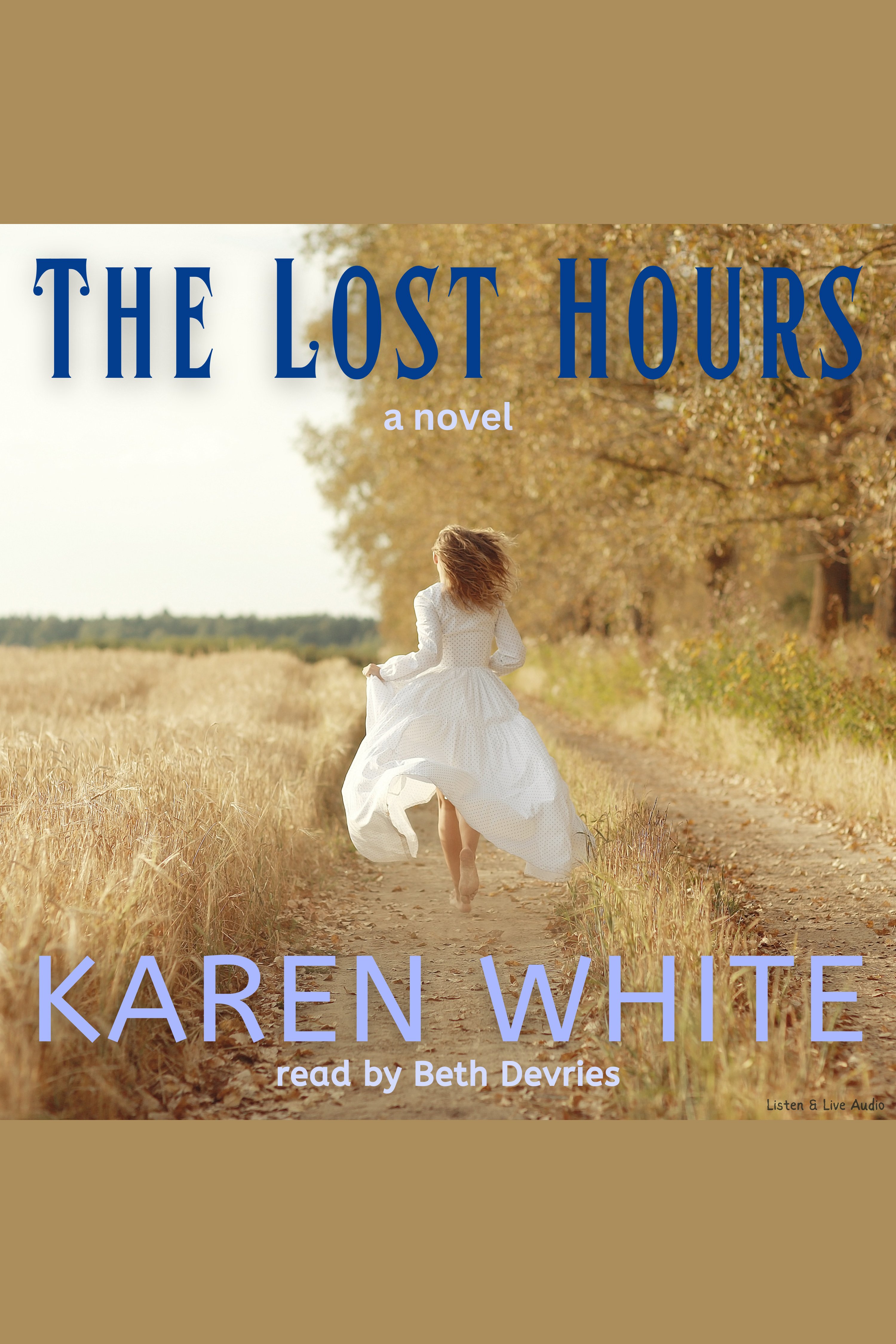 Umschlagbild für The Lost Hours [electronic resource] :