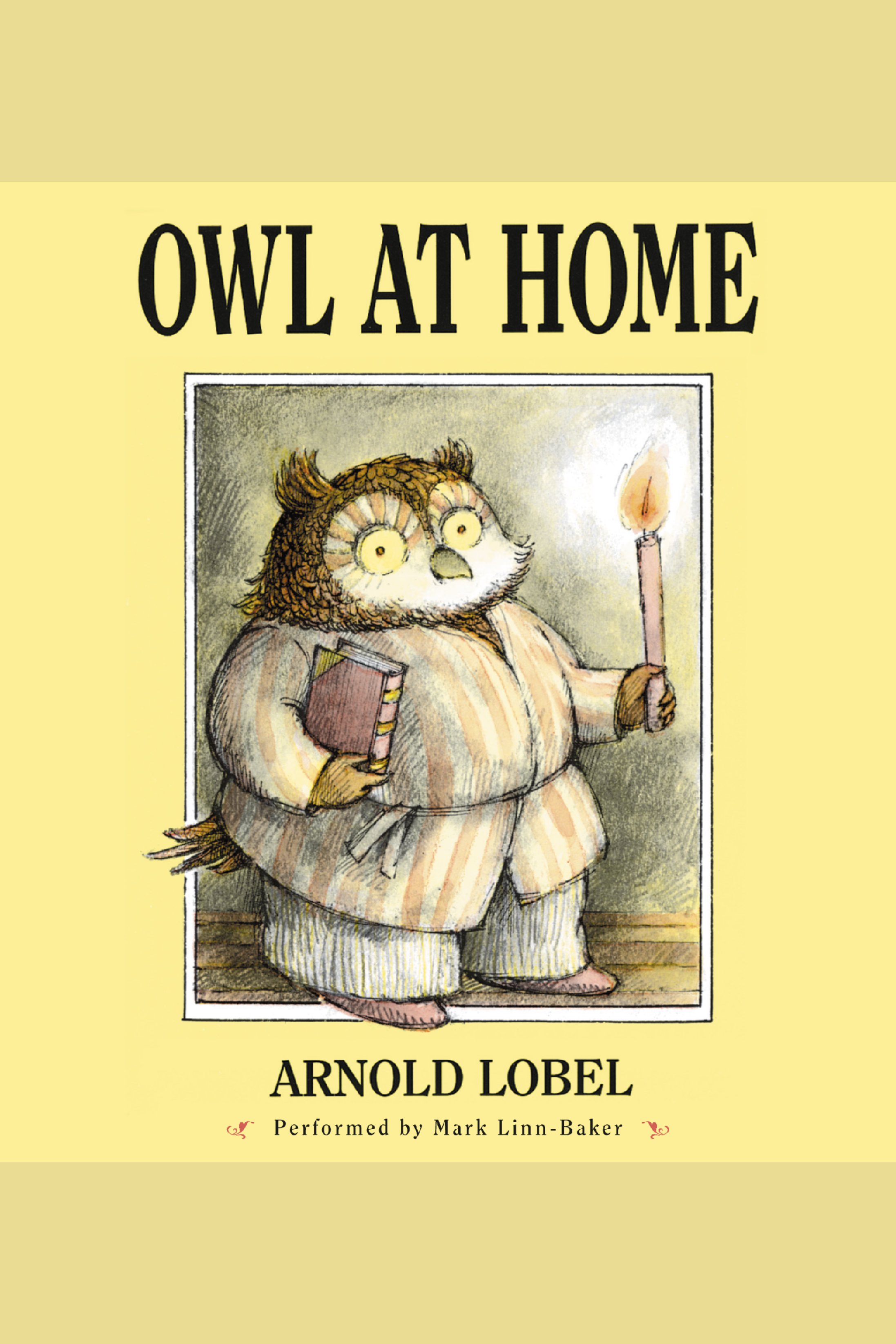 Owl at home cover image