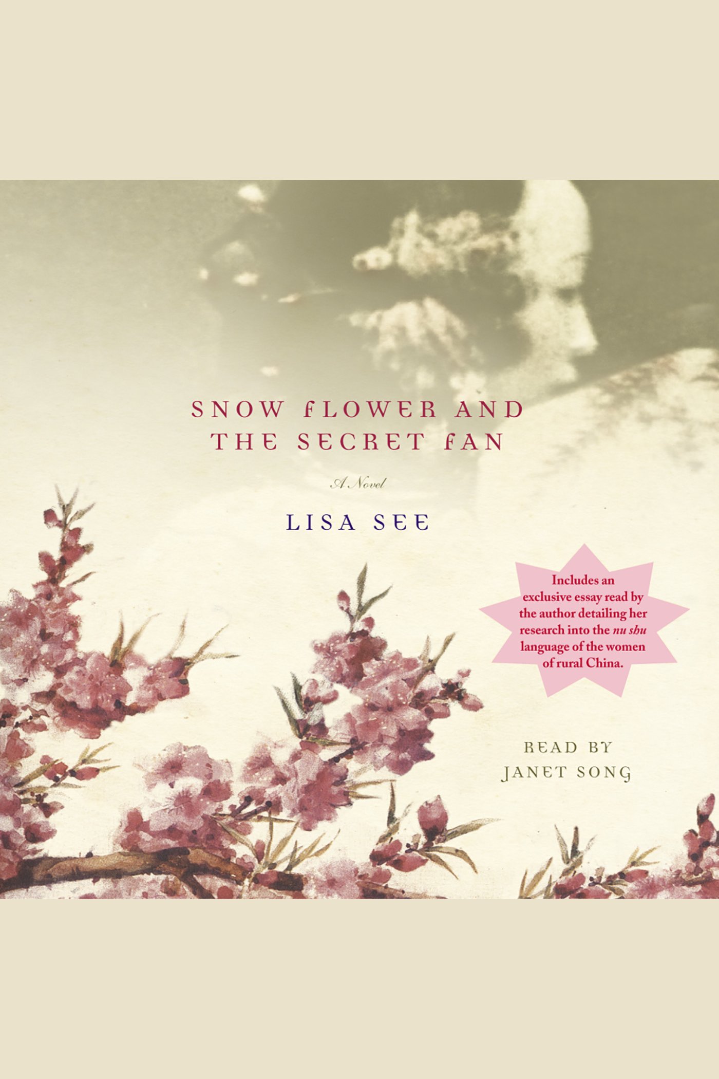 Snow flower and the secret fan cover image