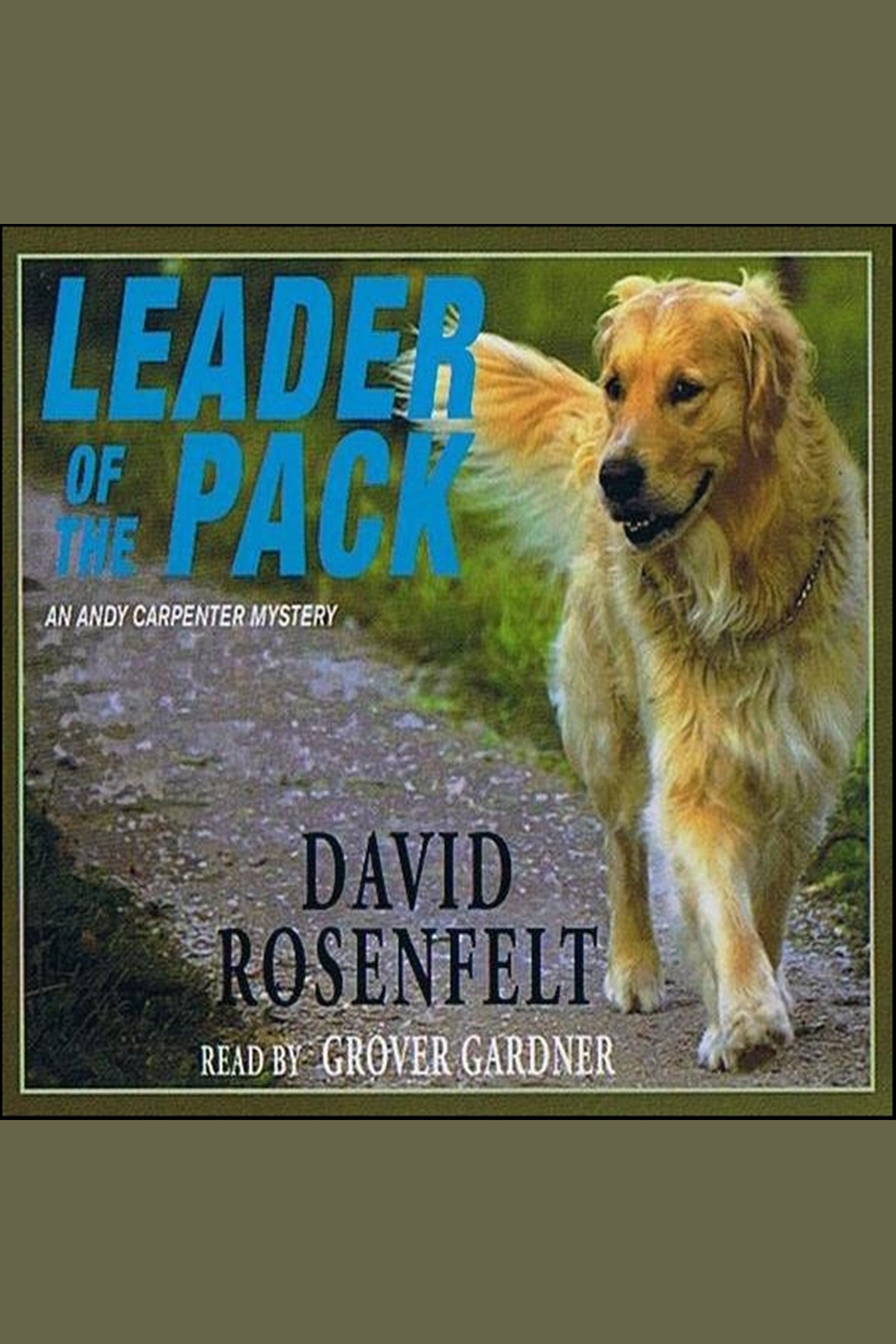 Image de couverture de Leader of the Pack [electronic resource] :