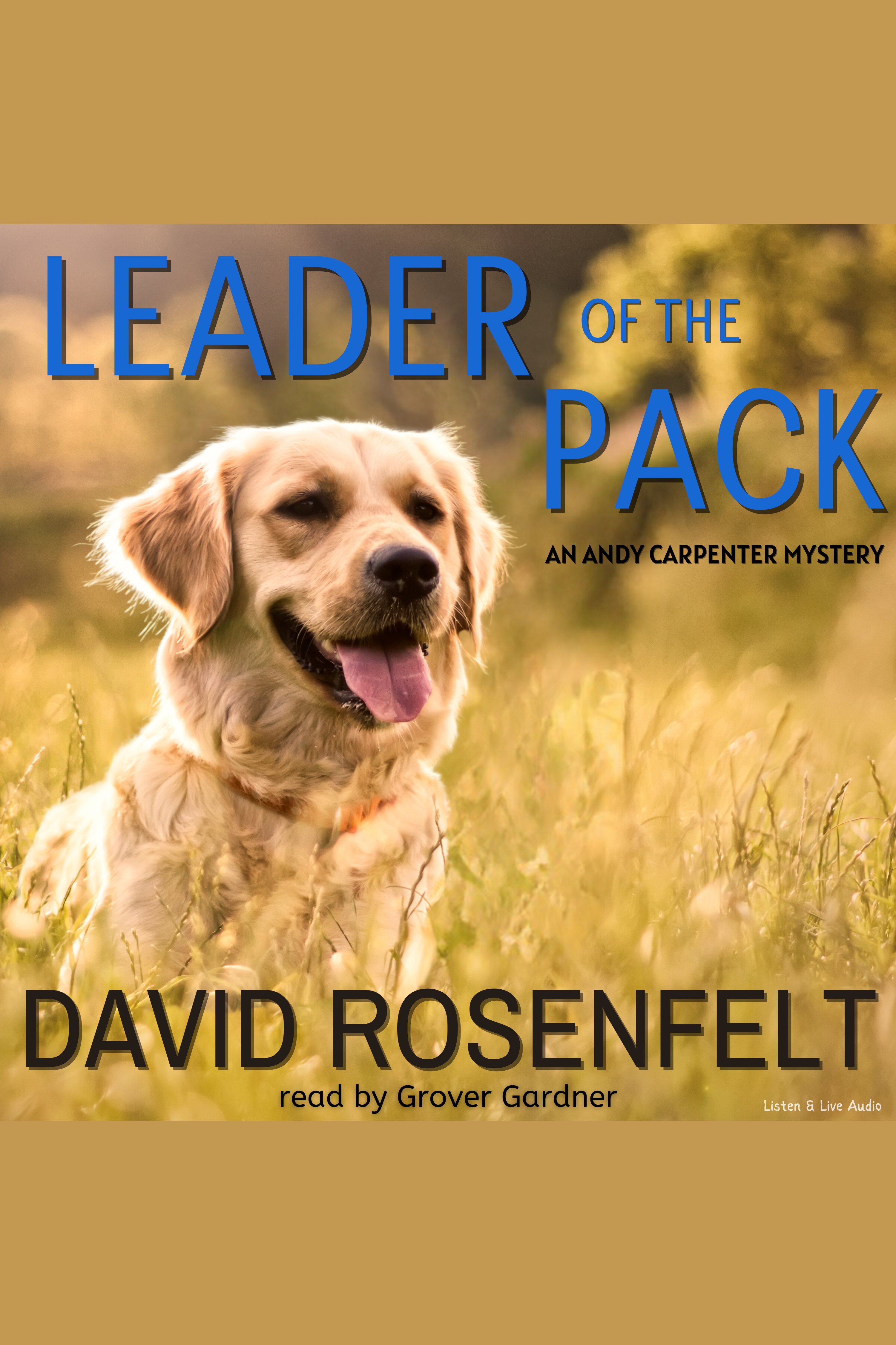 Image de couverture de Leader of the Pack [electronic resource] :