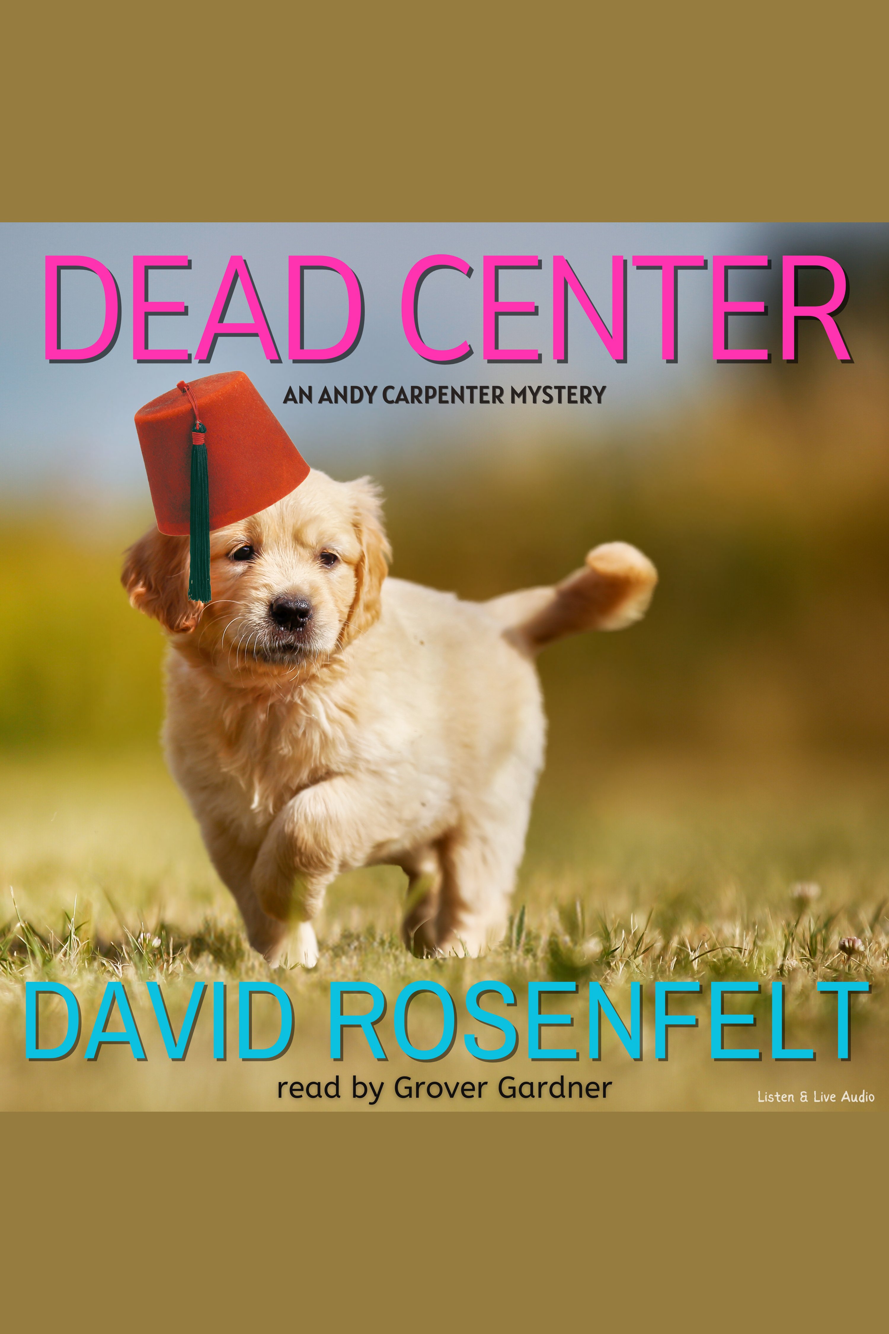 Cover image for Dead Center [electronic resource] :