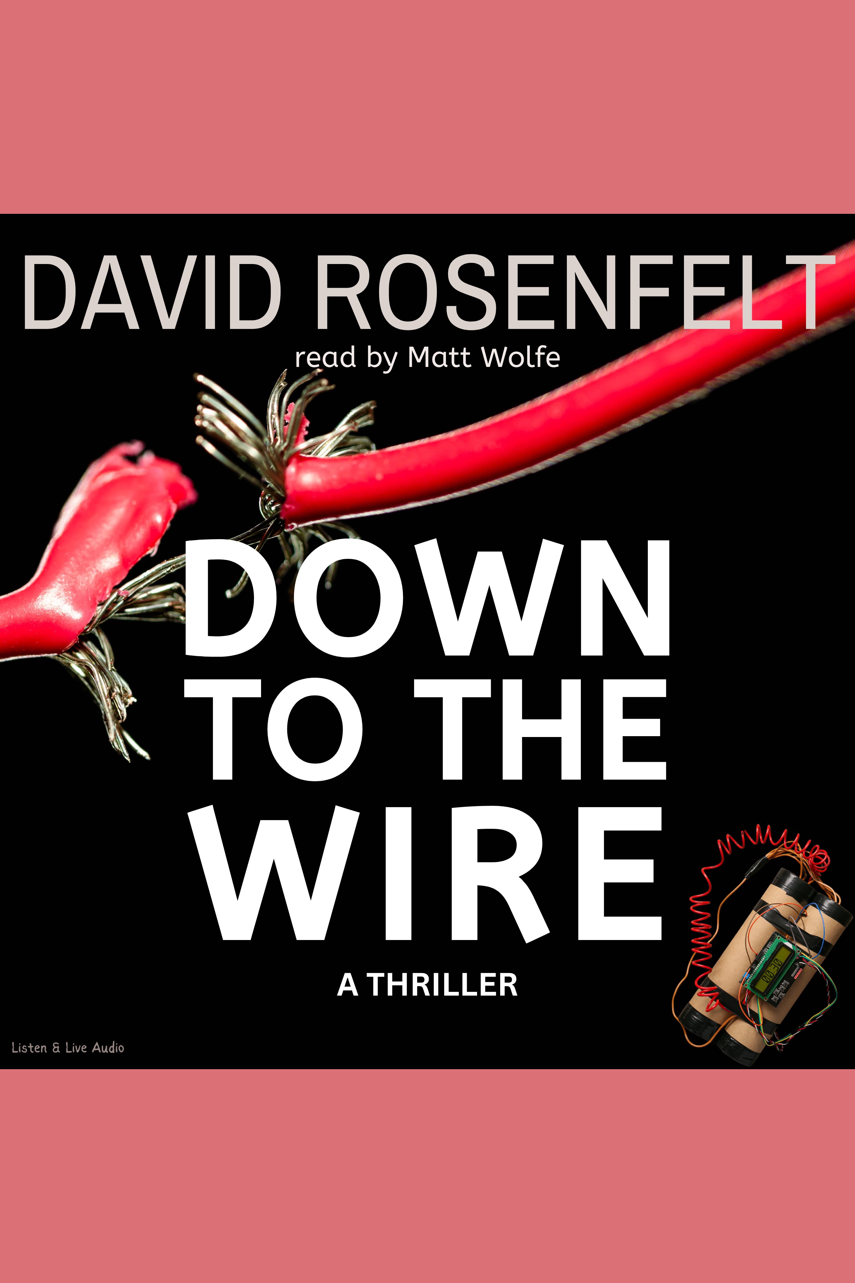 Umschlagbild für Down to the Wire [electronic resource] :