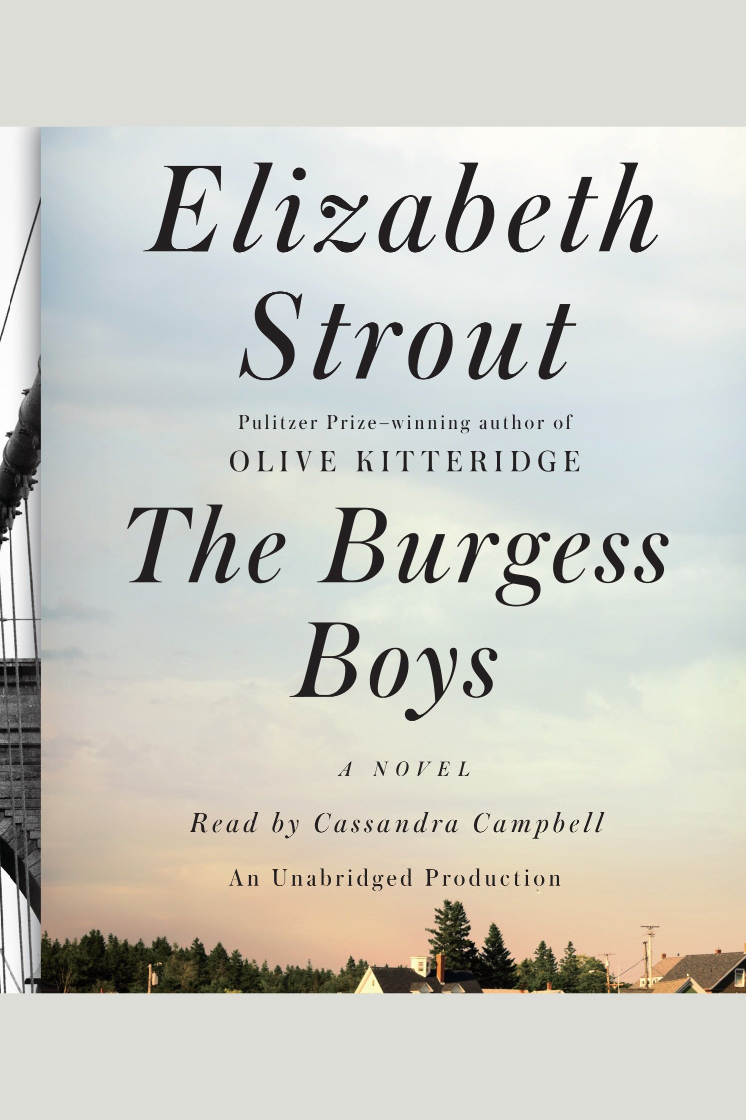The Burgess boys cover image