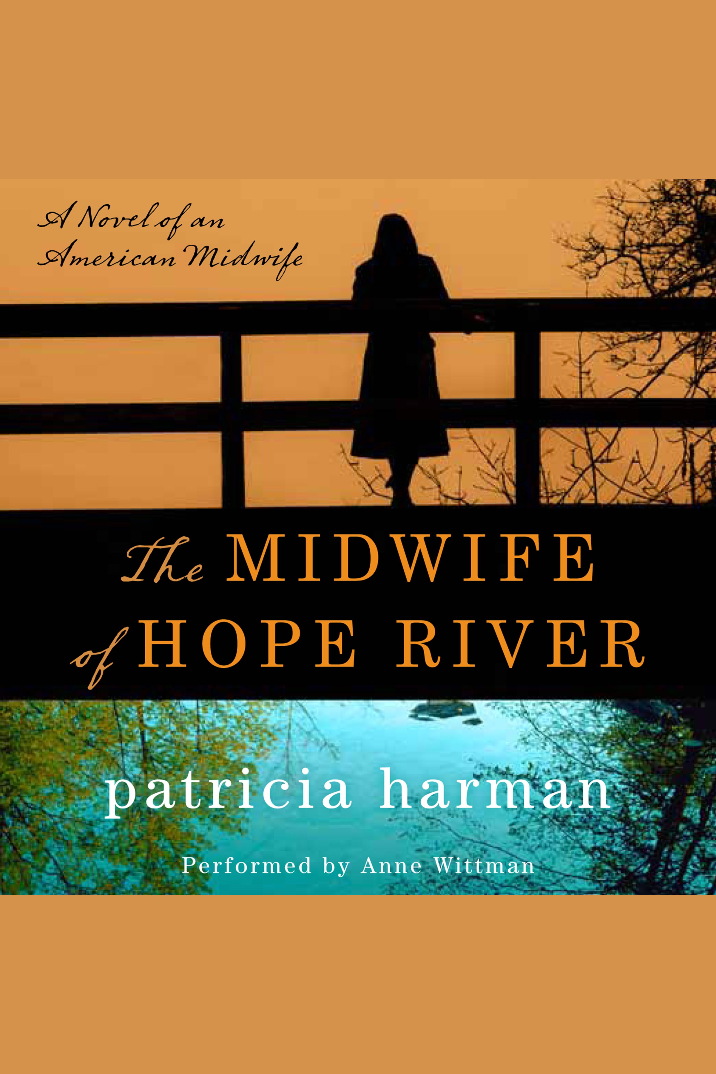 Umschlagbild für The Midwife of Hope River [electronic resource] :