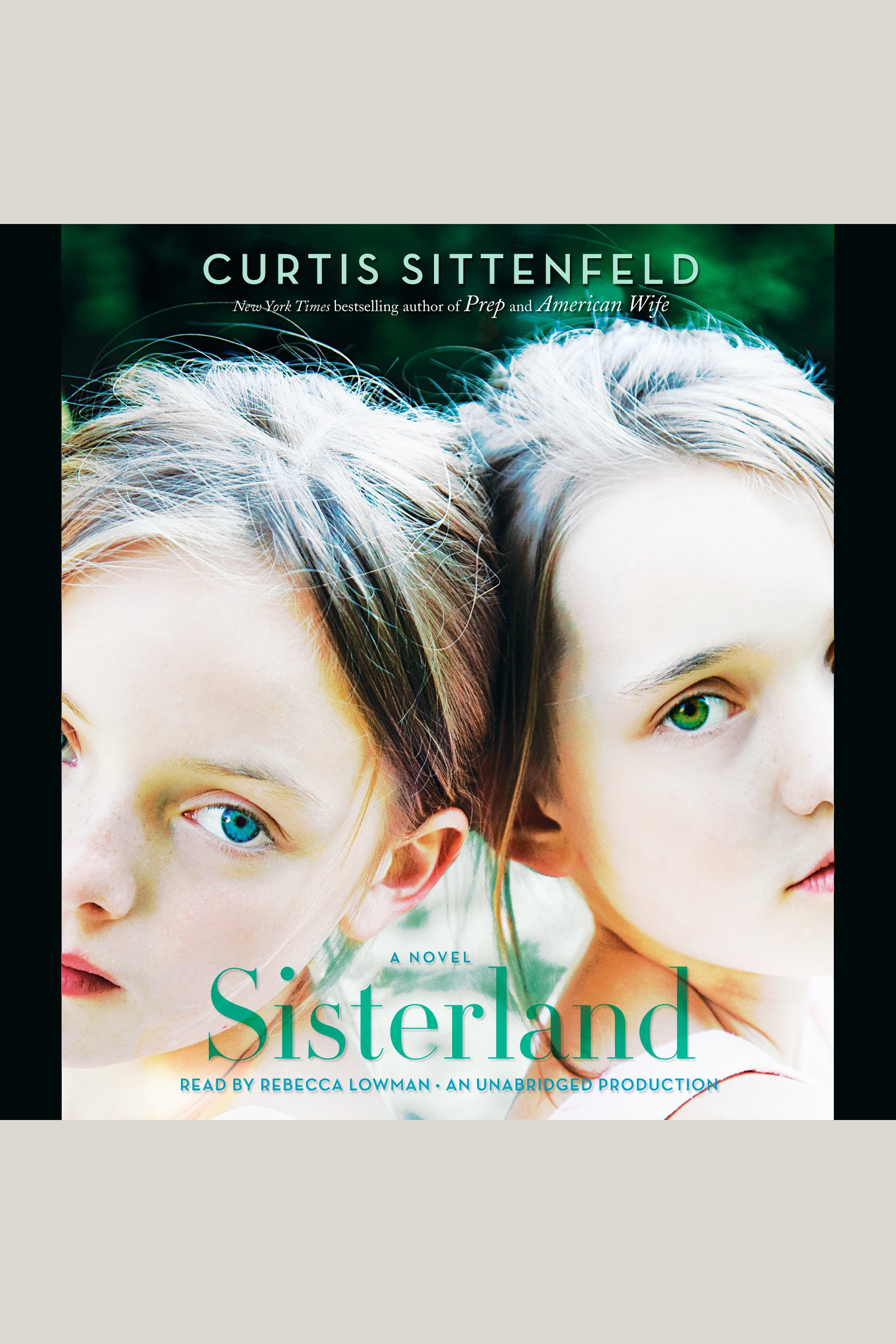 Sisterland cover image