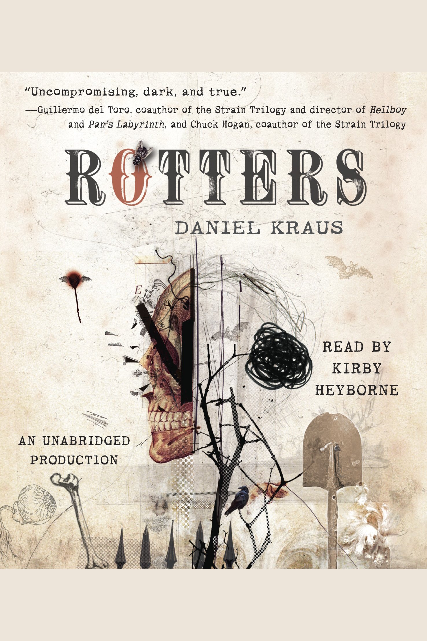 Rotters cover image