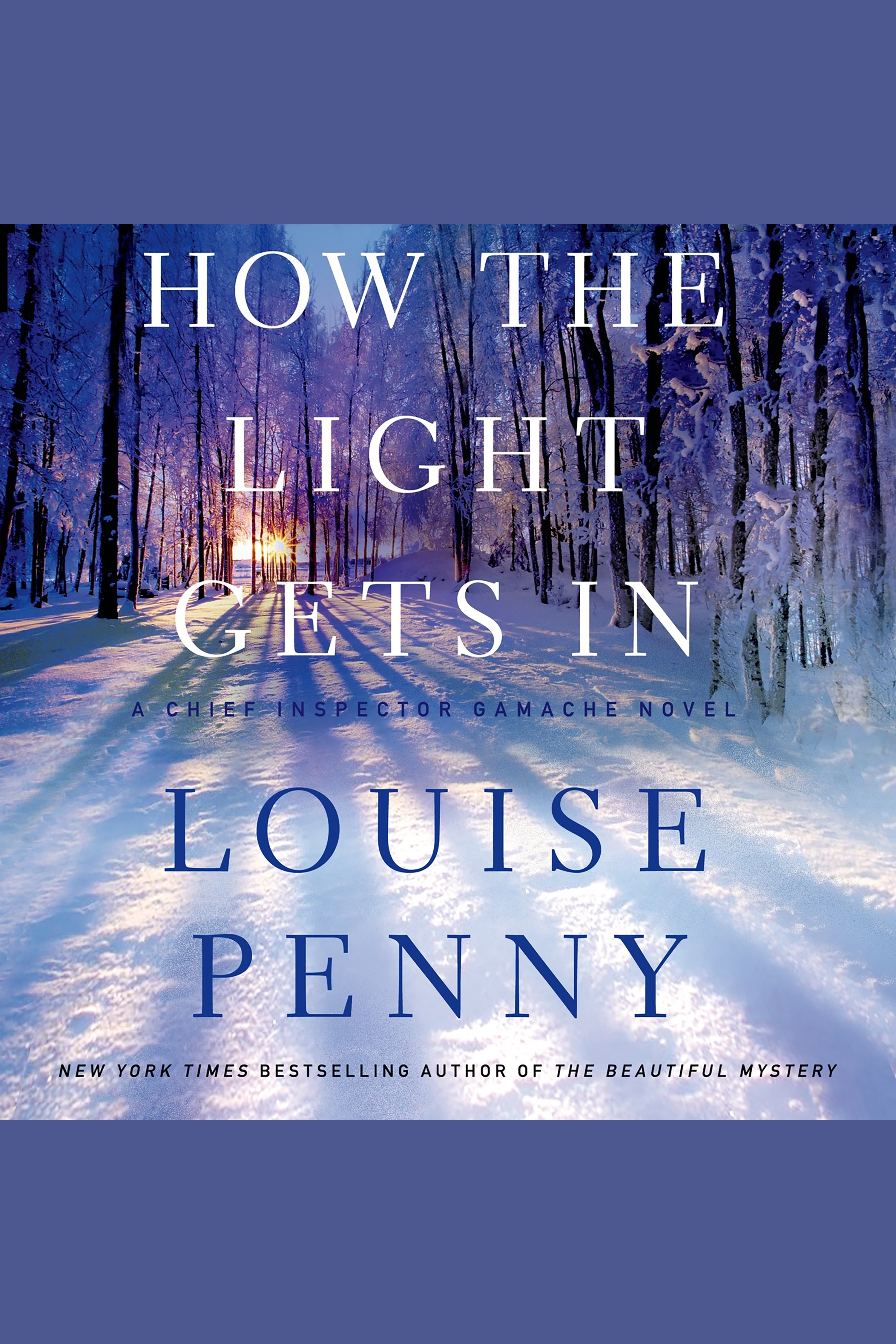 How the light gets in cover image