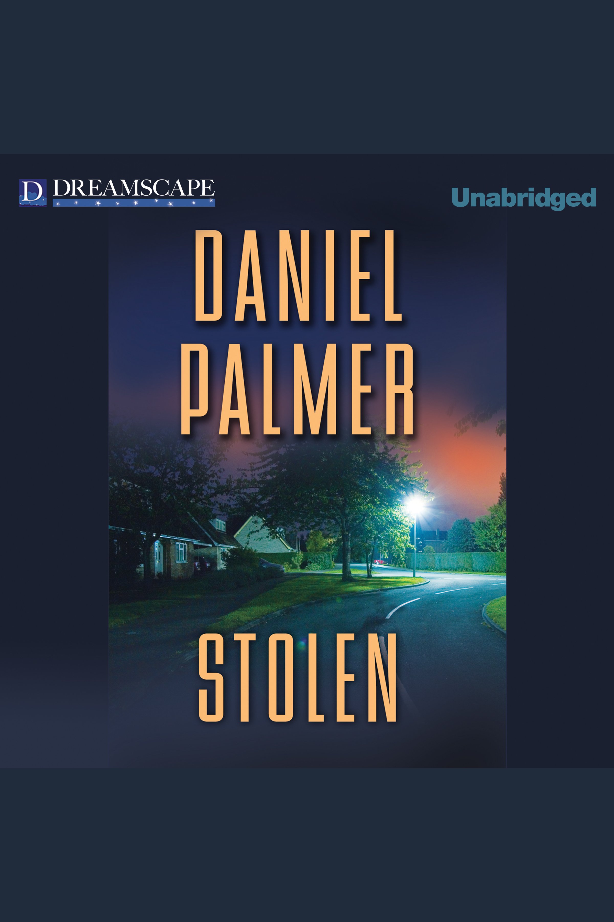 Umschlagbild für Stolen [electronic resource] :