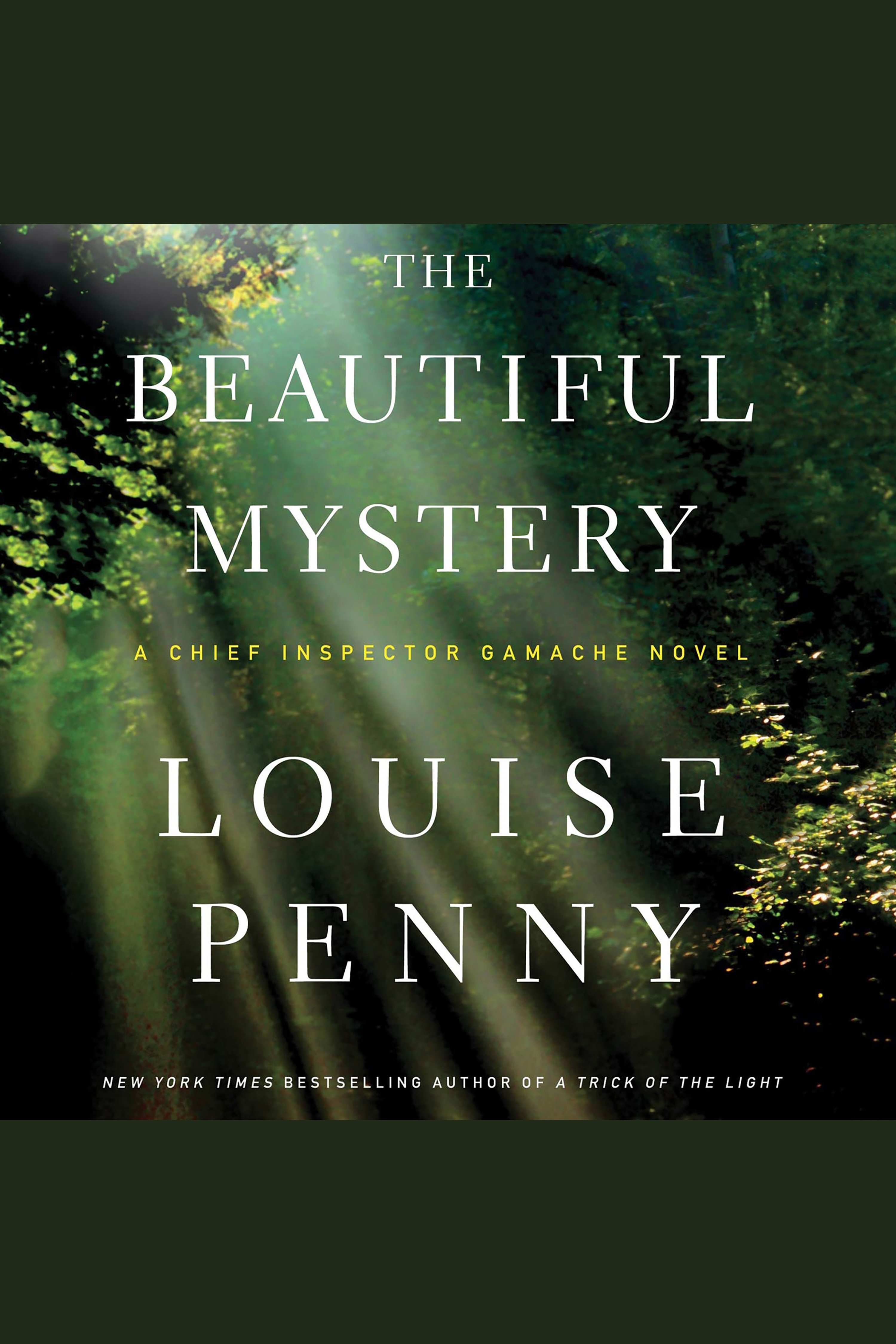 The beautiful mystery cover image