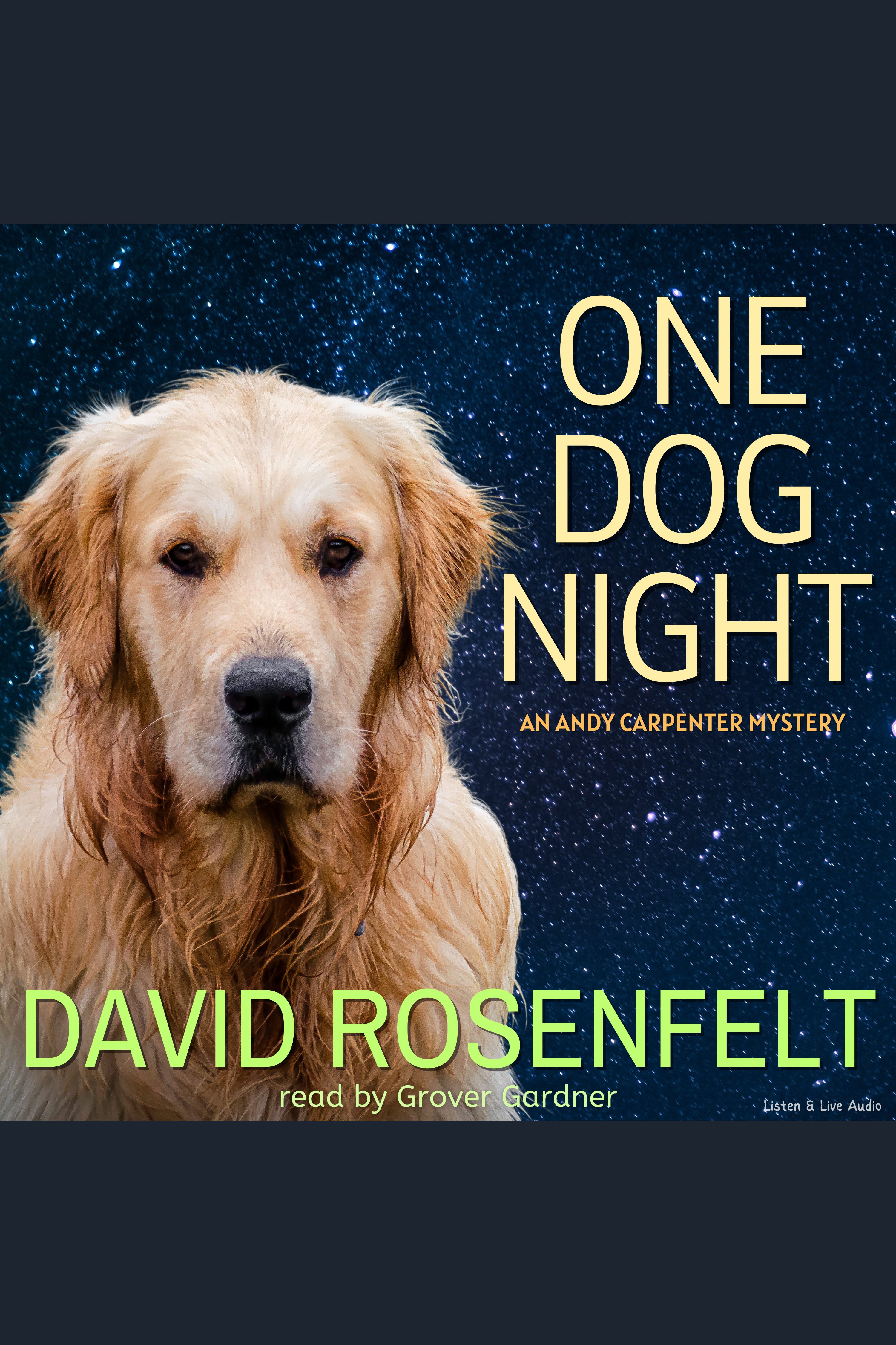 Umschlagbild für One Dog Night [electronic resource] :