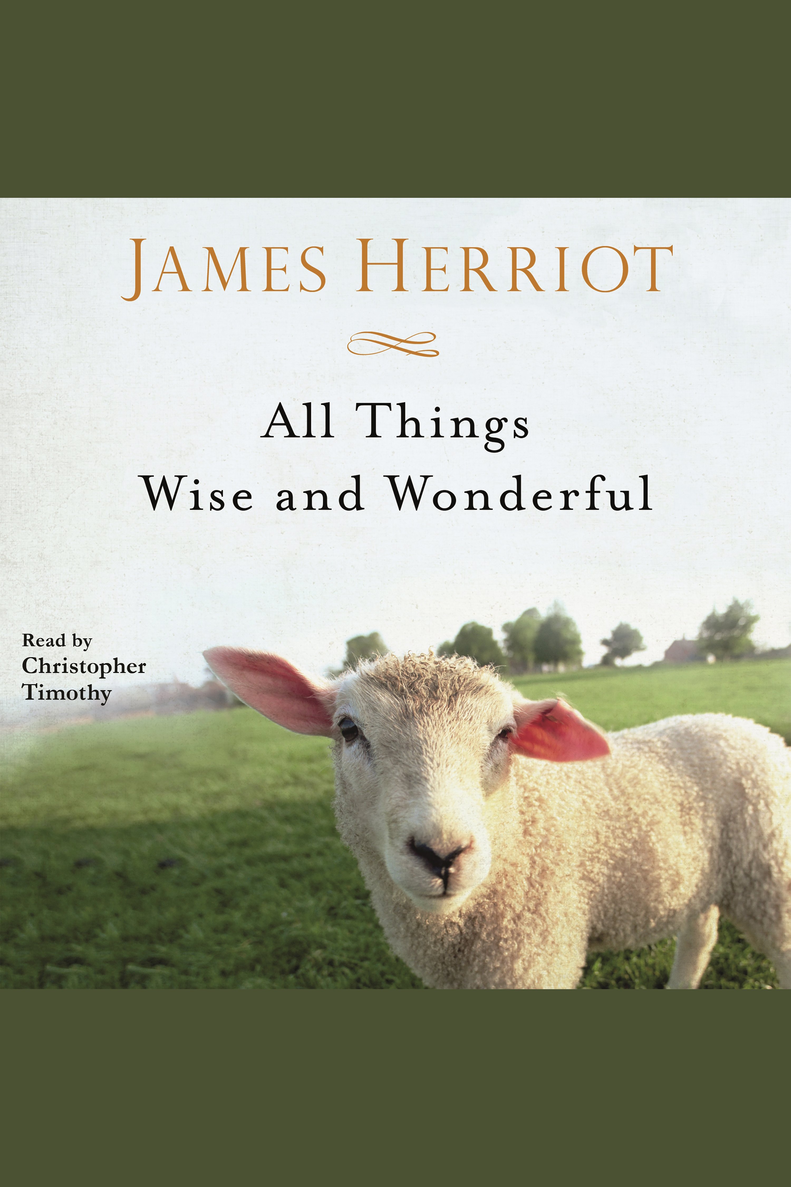 All Things Wise and Wonderful cover image