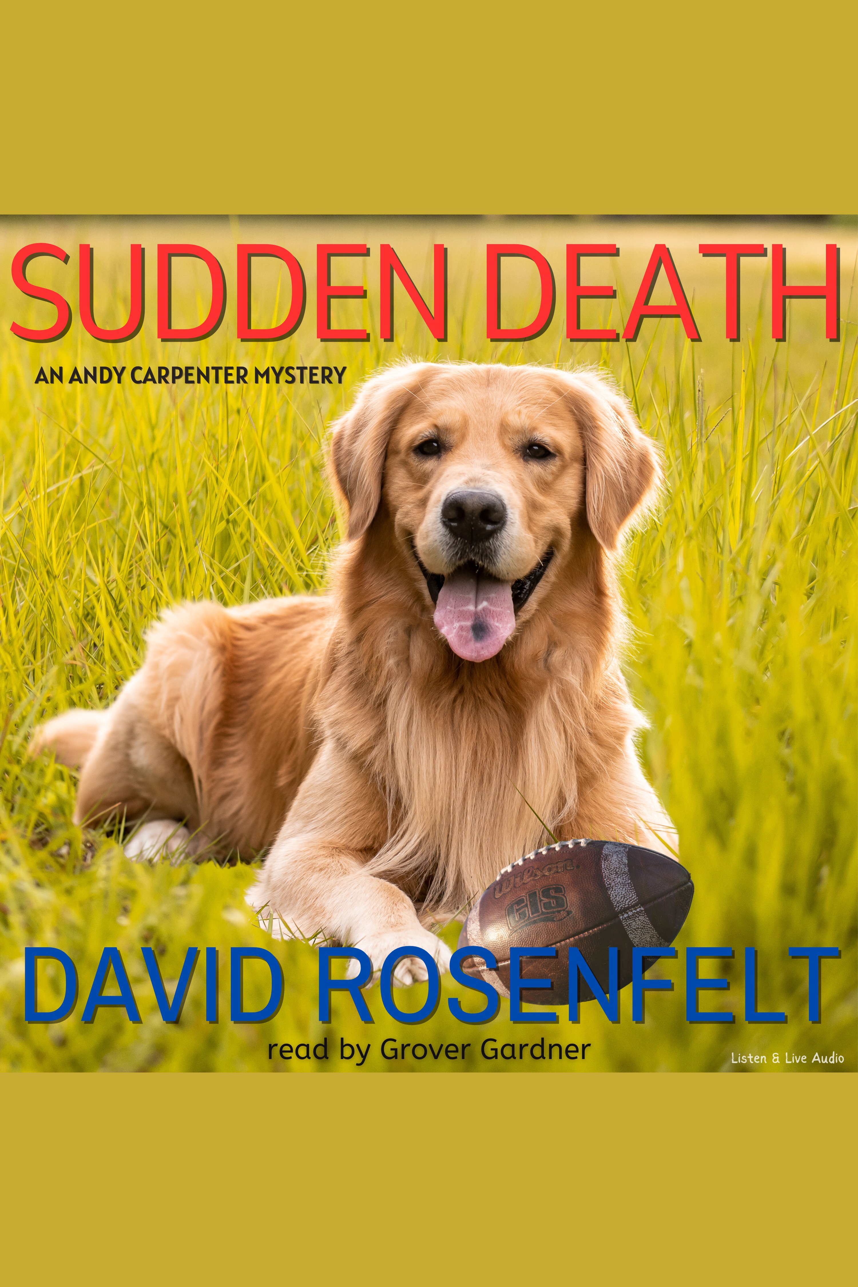 Cover image for Sudden Death [electronic resource] :