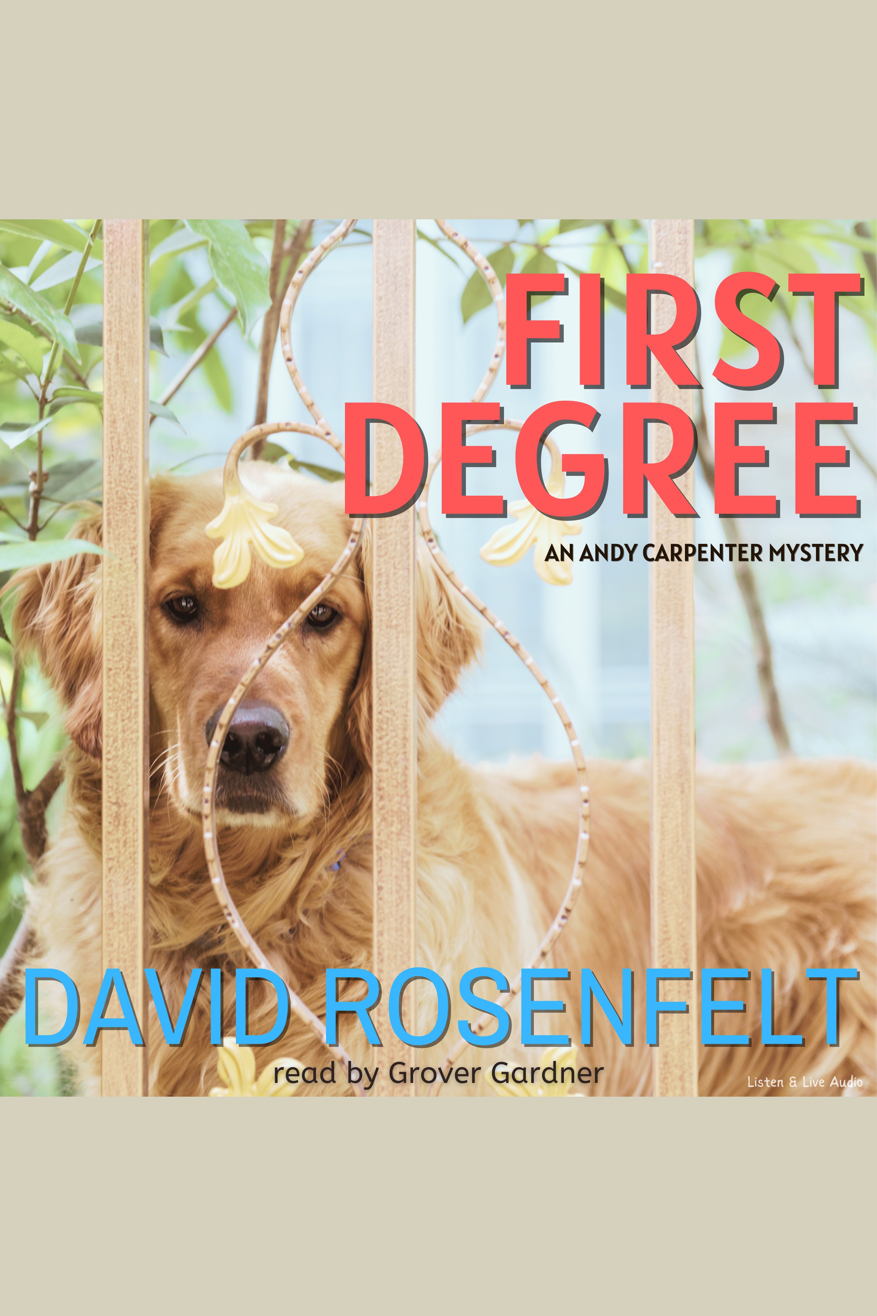 Imagen de portada para First Degree [electronic resource] :