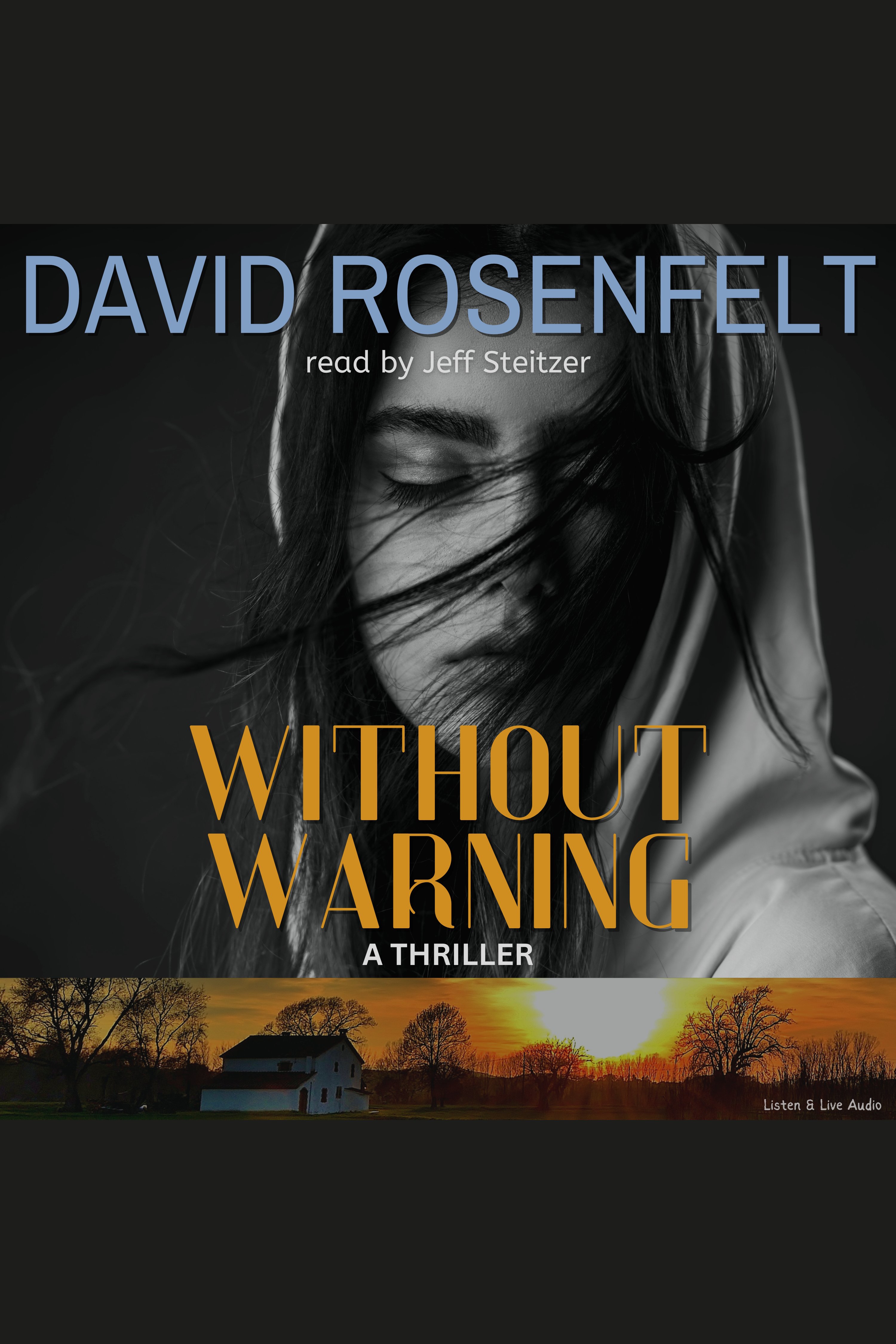 Umschlagbild für Without Warning [electronic resource] :