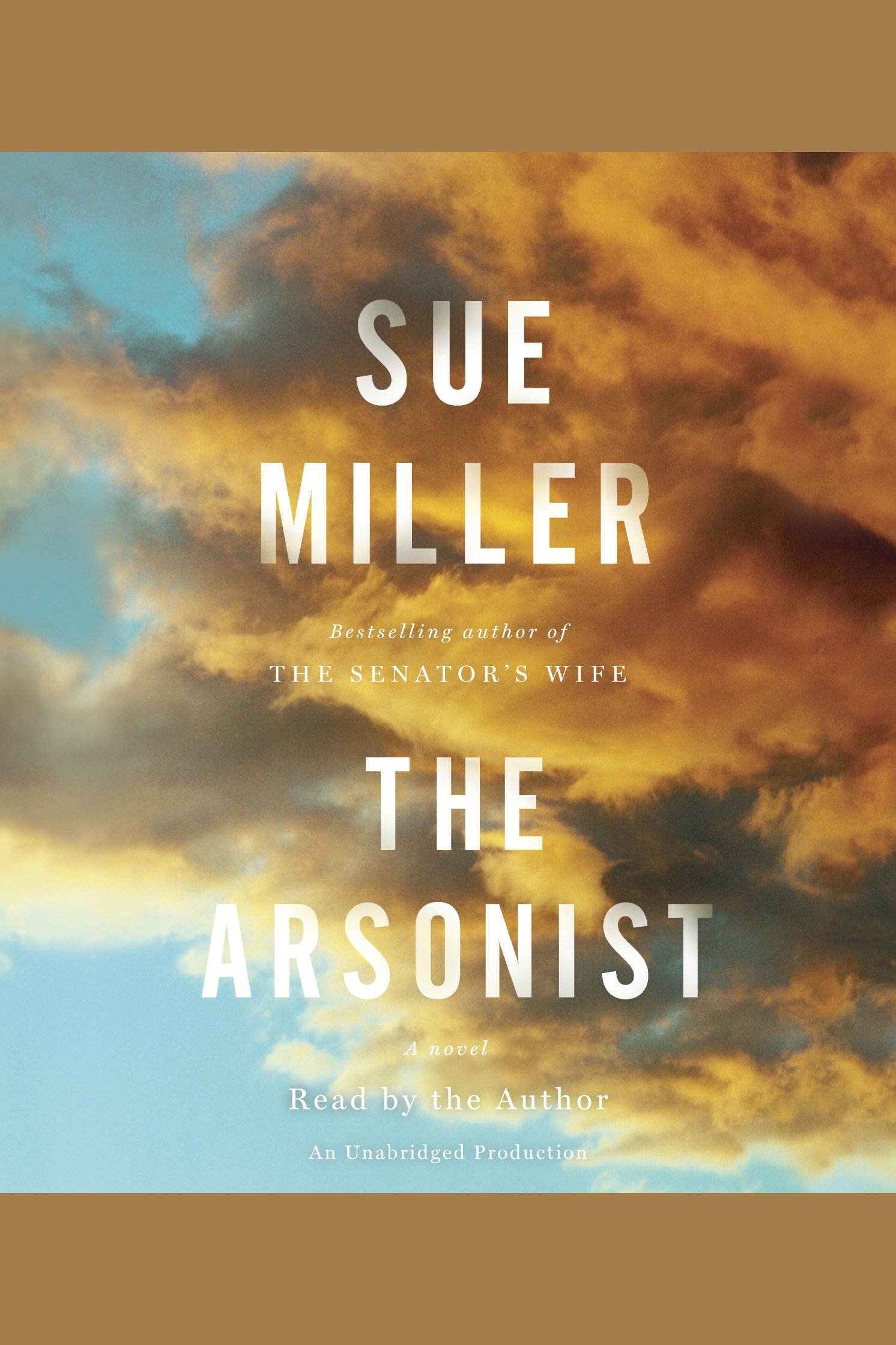 The arsonist cover image