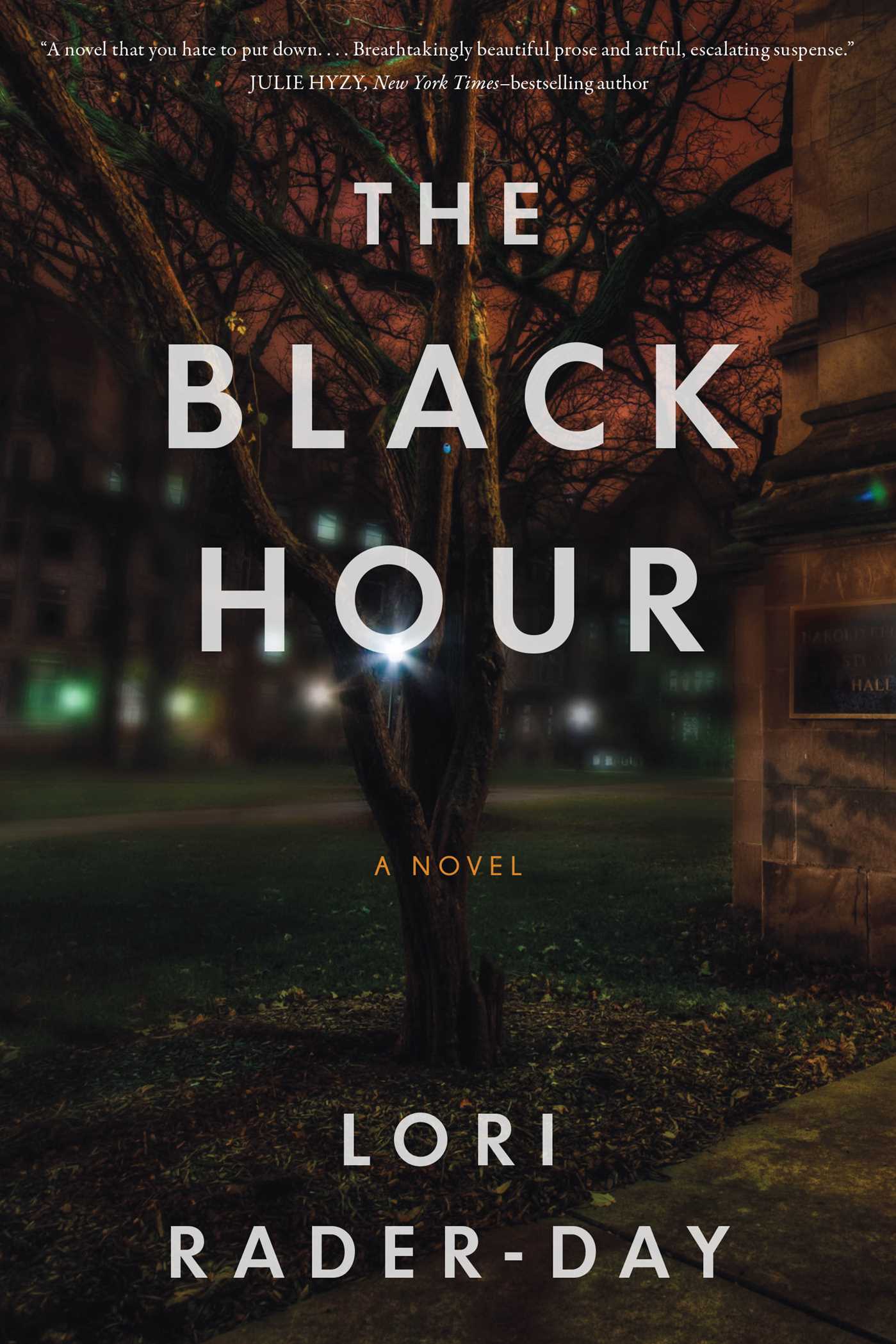 Umschlagbild für Black Hour [electronic resource] :