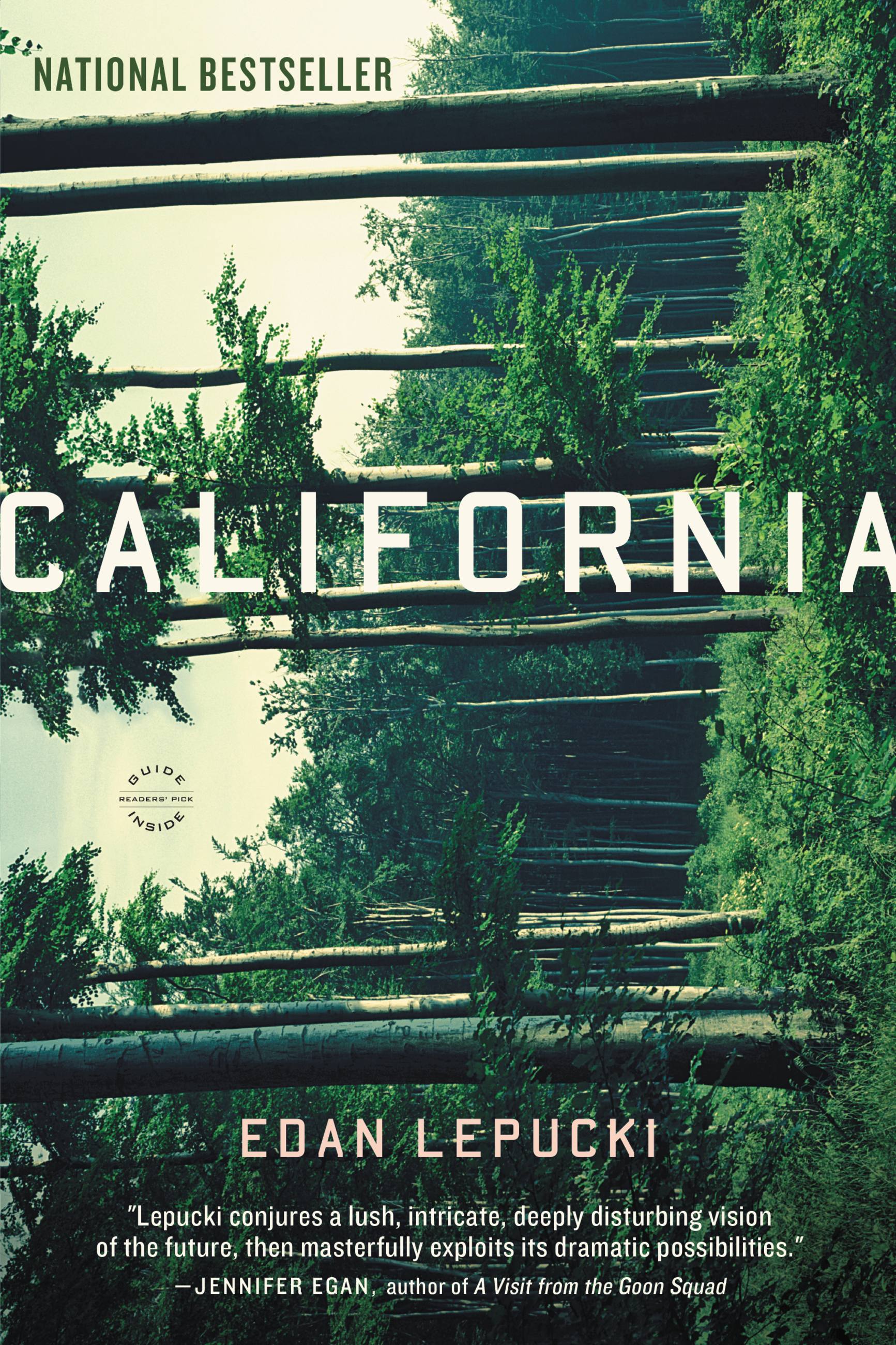Cover image for California [electronic resource] : A Novel