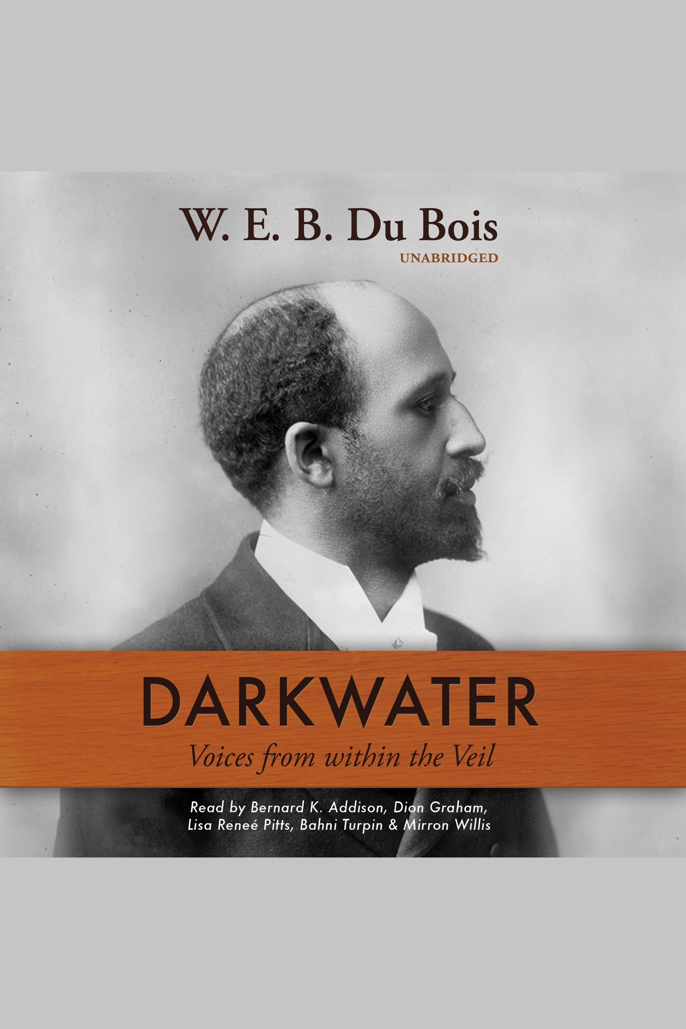 Imagen de portada para Darkwater [electronic resource] : Voices from within the Veil