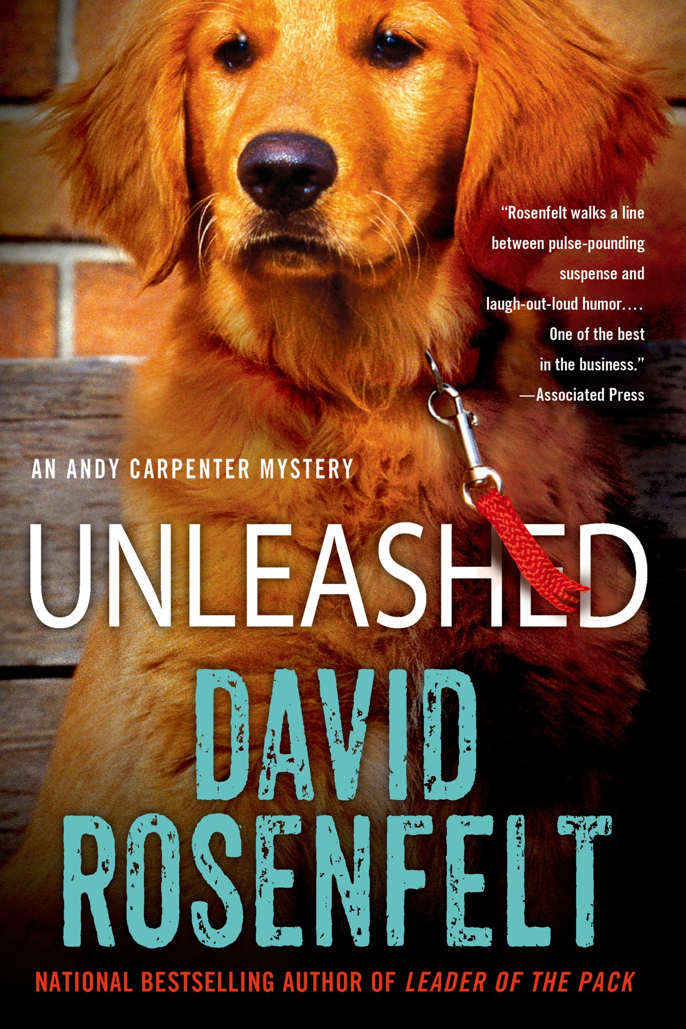 Unleashed cover image