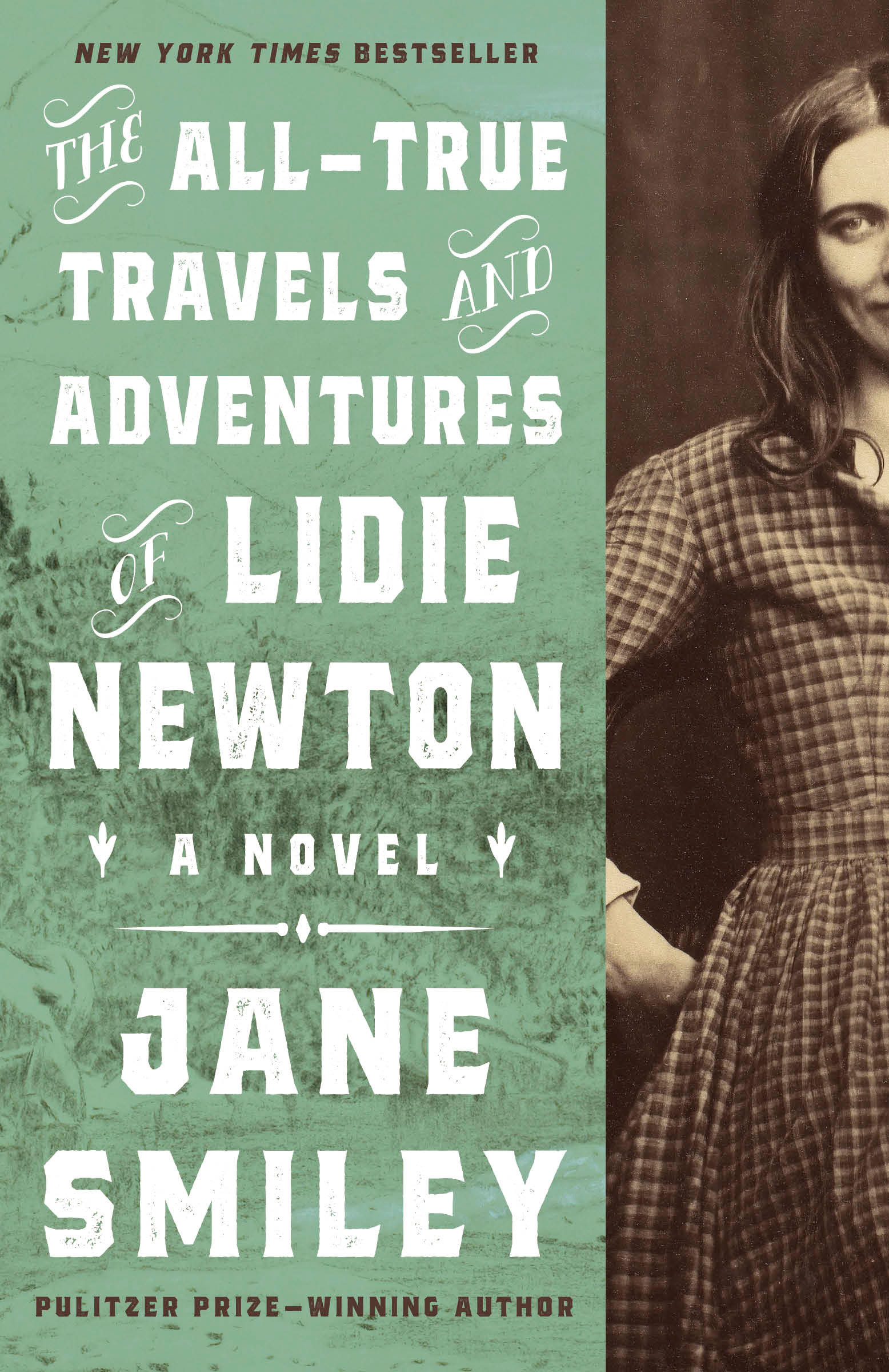 The all-true travels and adventures of Lidie Newton cover image