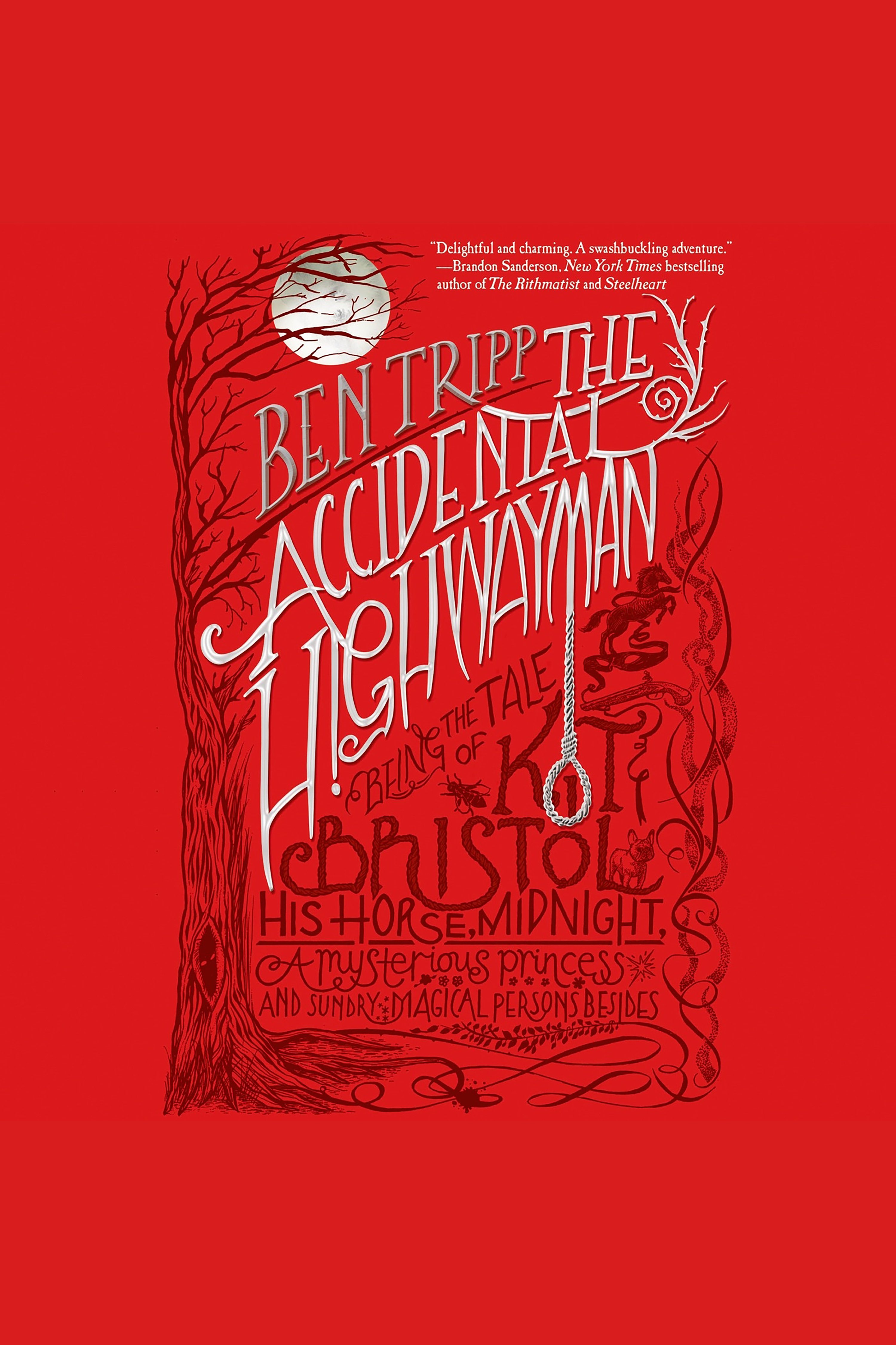 Umschlagbild für The Accidental Highwayman [electronic resource] :