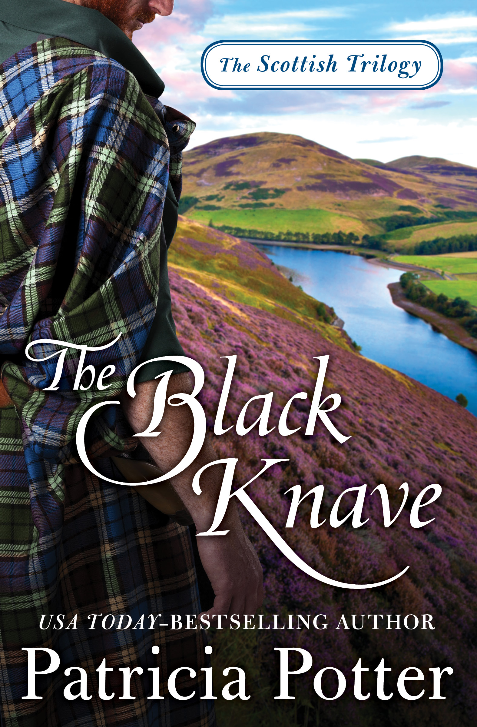 Umschlagbild für The Black Knave [electronic resource] :