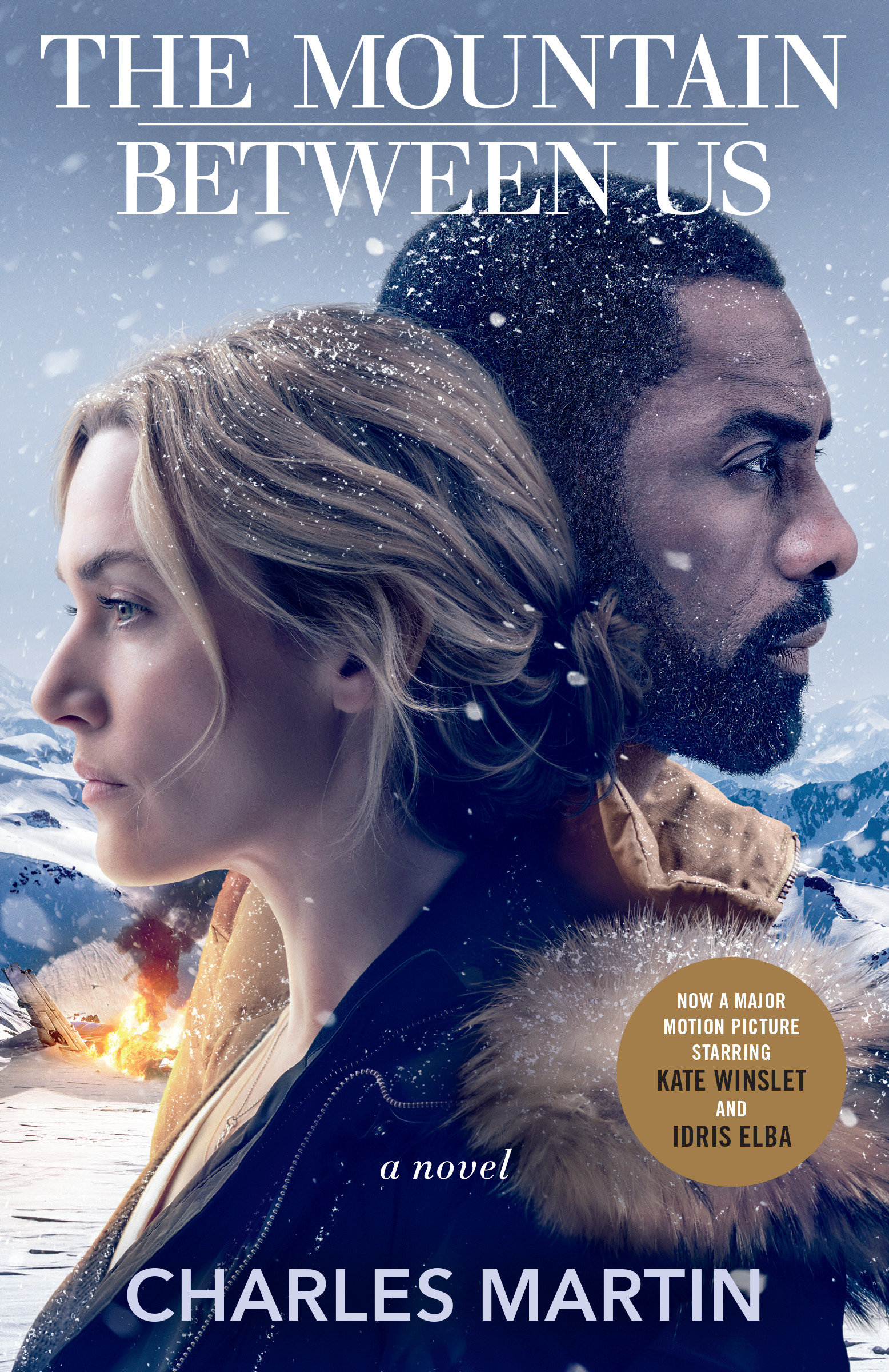 Umschlagbild für The Mountain Between Us [electronic resource] : A Novel