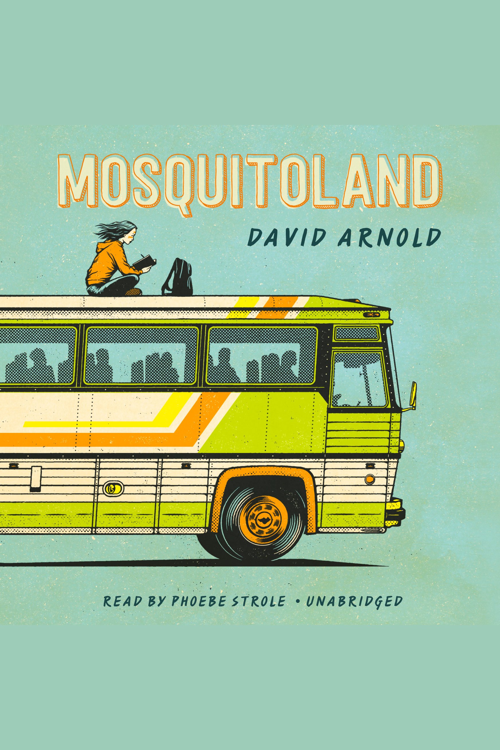 Cover image for Mosquitoland [electronic resource] :