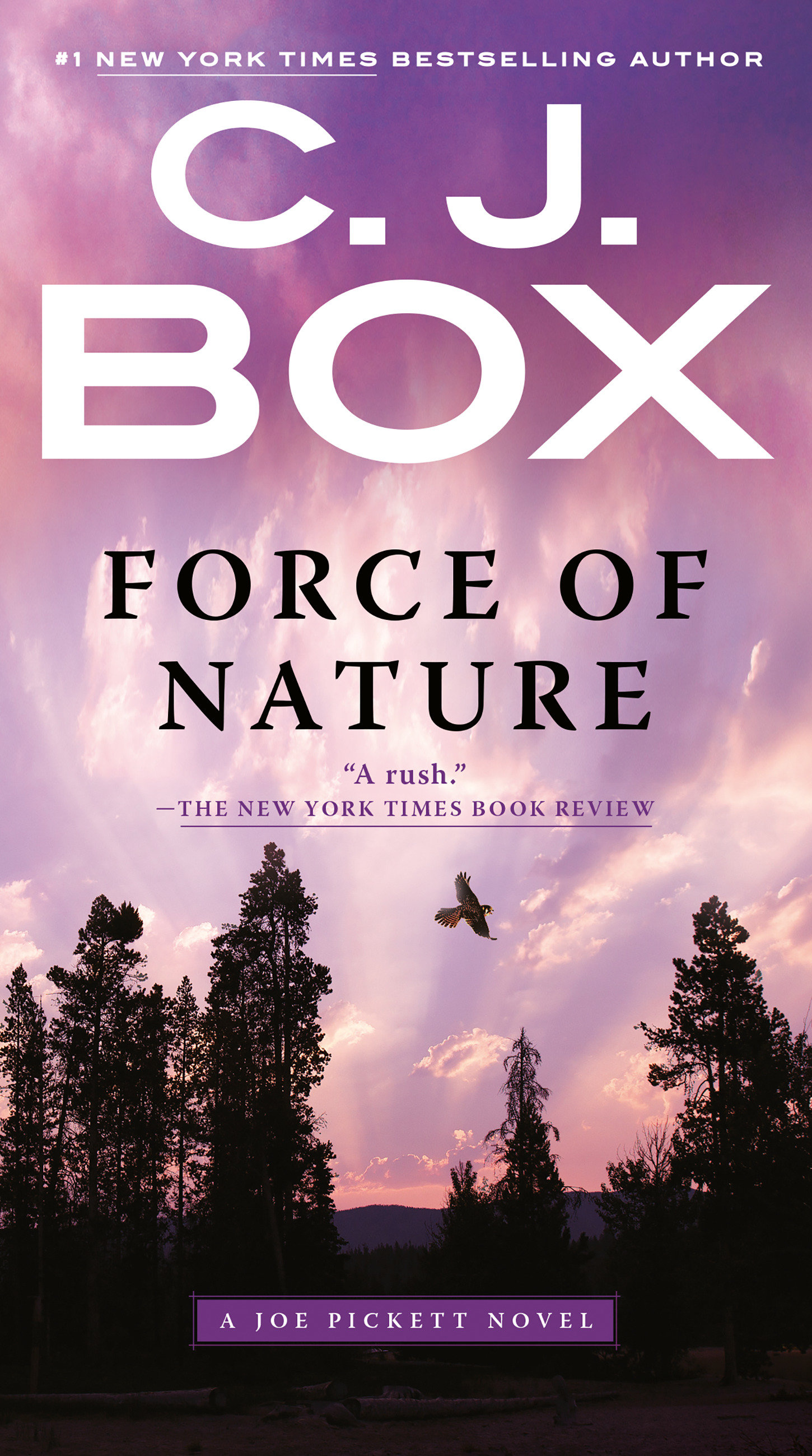 Imagen de portada para Force of Nature [electronic resource] :