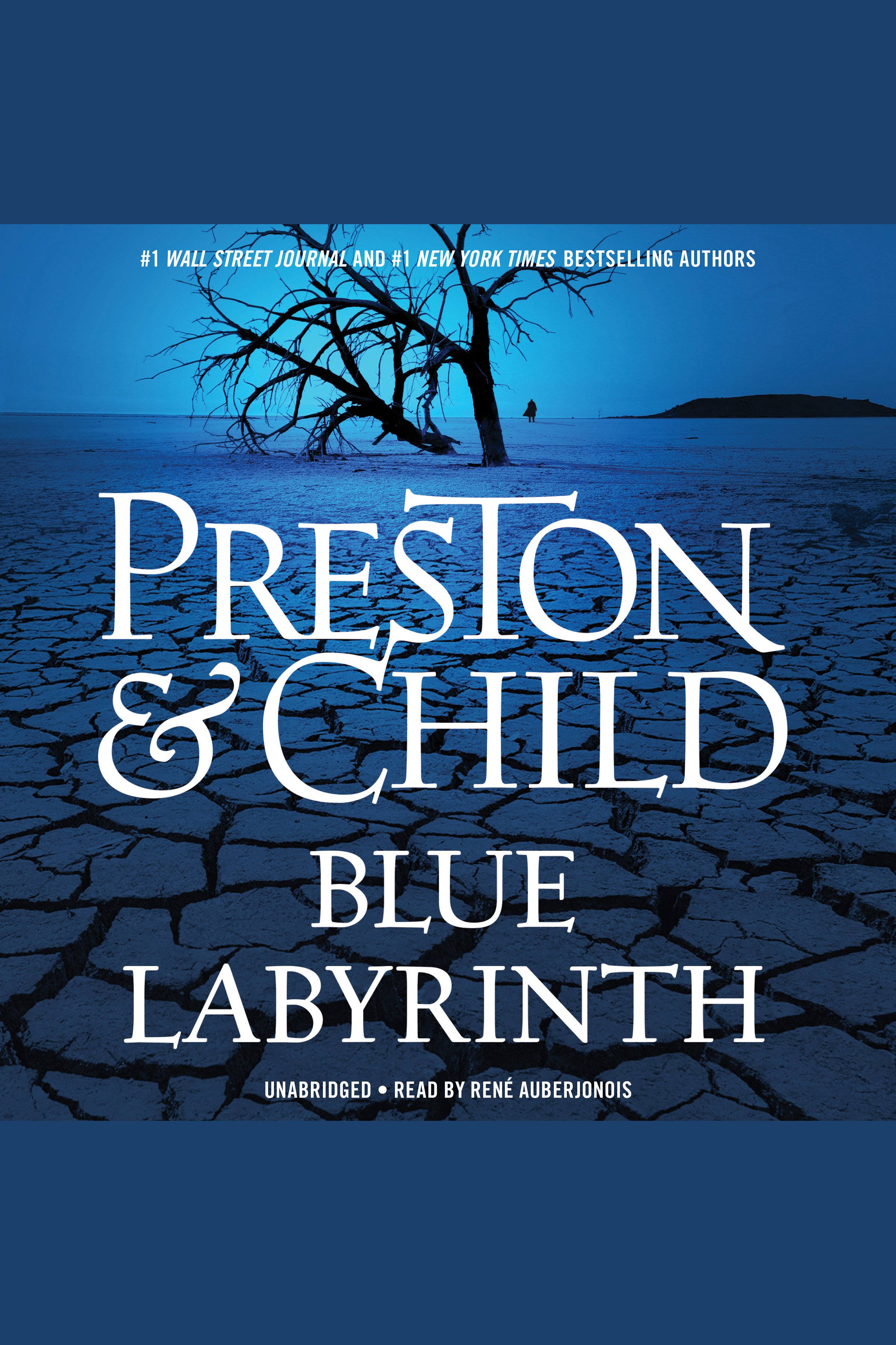 Umschlagbild für Blue Labyrinth [electronic resource] :