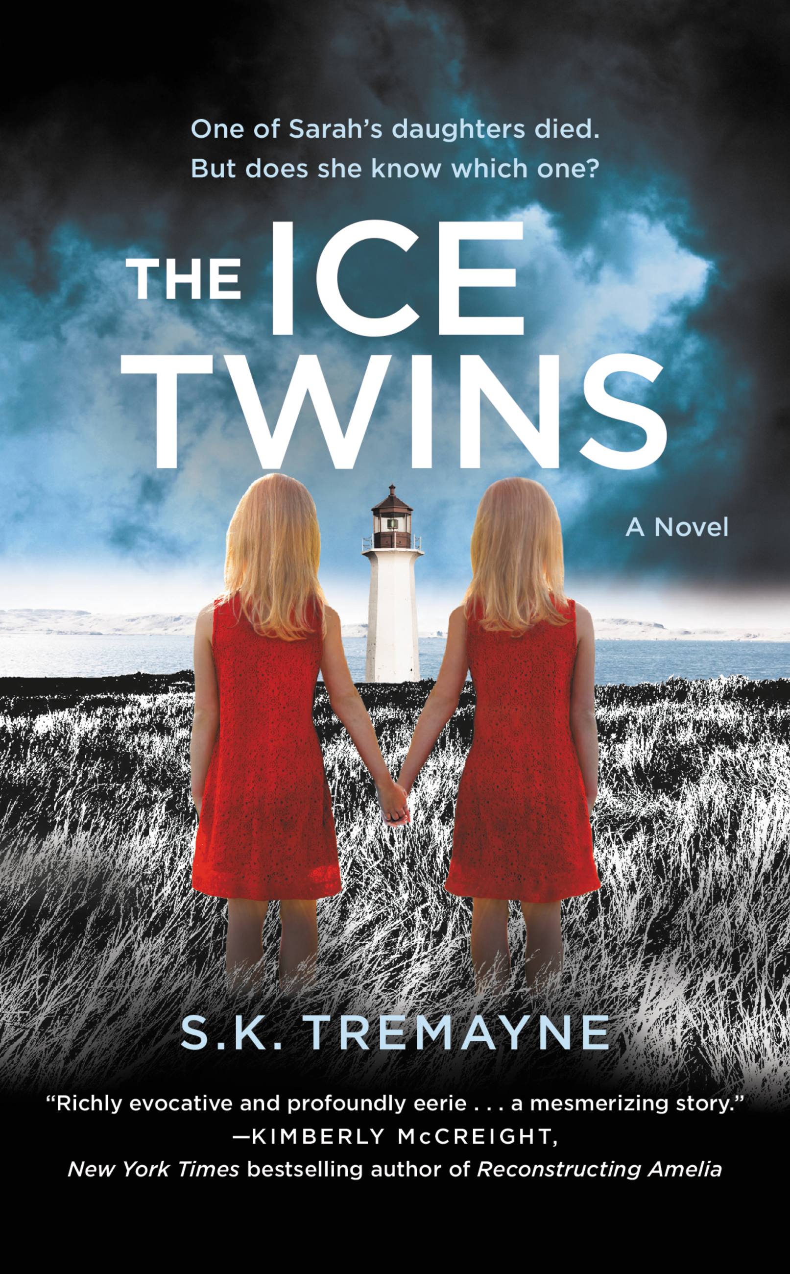 Image de couverture de The Ice Twins [electronic resource] : A Novel