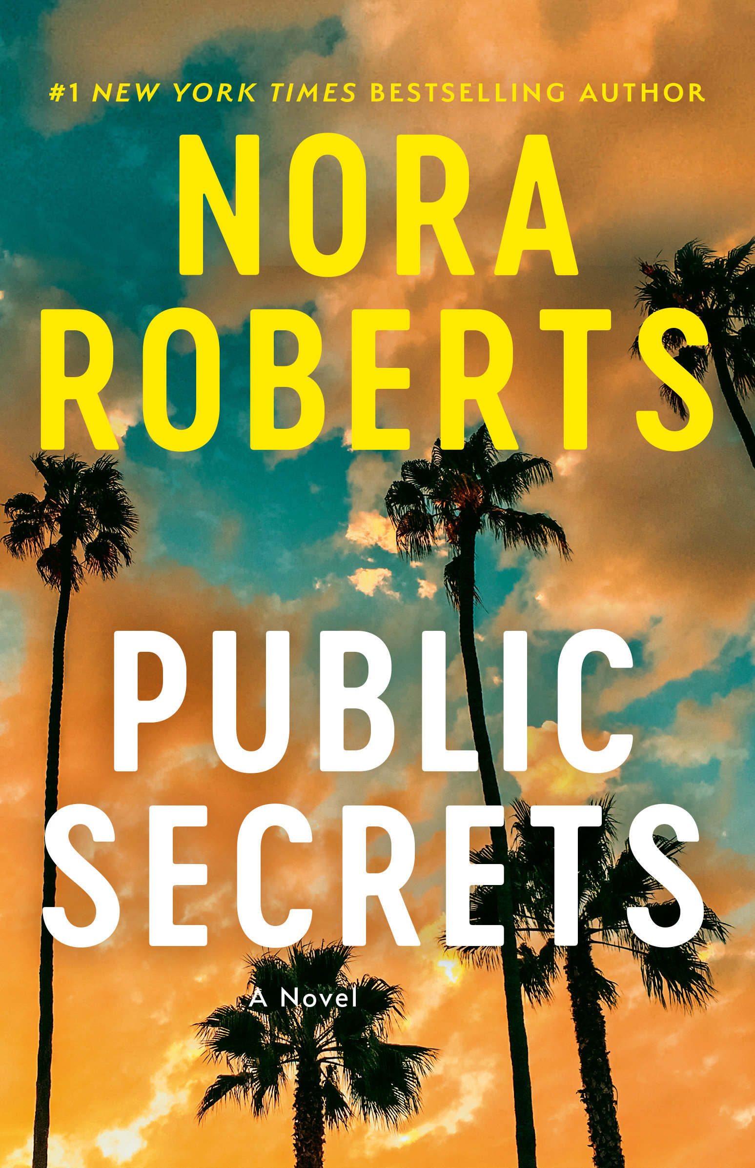 Umschlagbild für Public Secrets [electronic resource] : A Novel