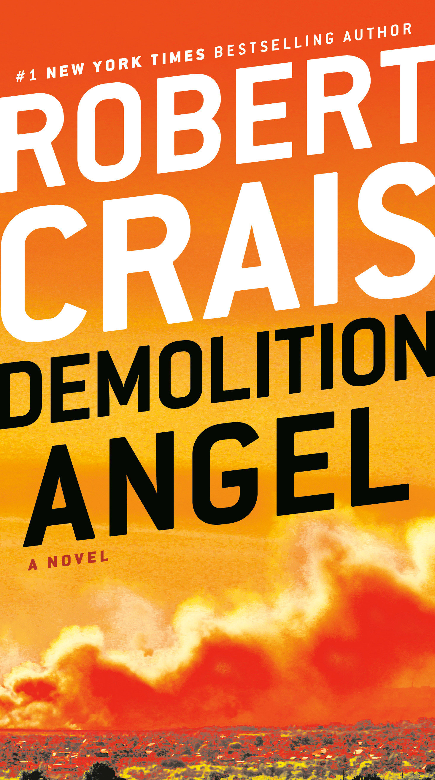 Demolition angel cover image