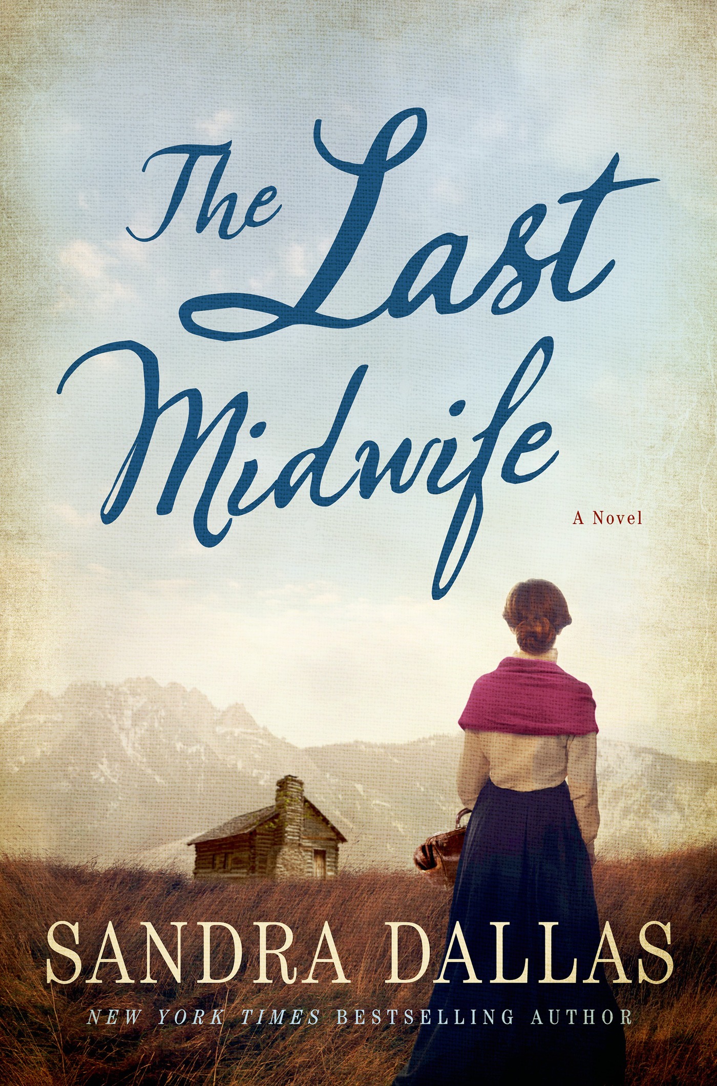 The Last Midwife cover image