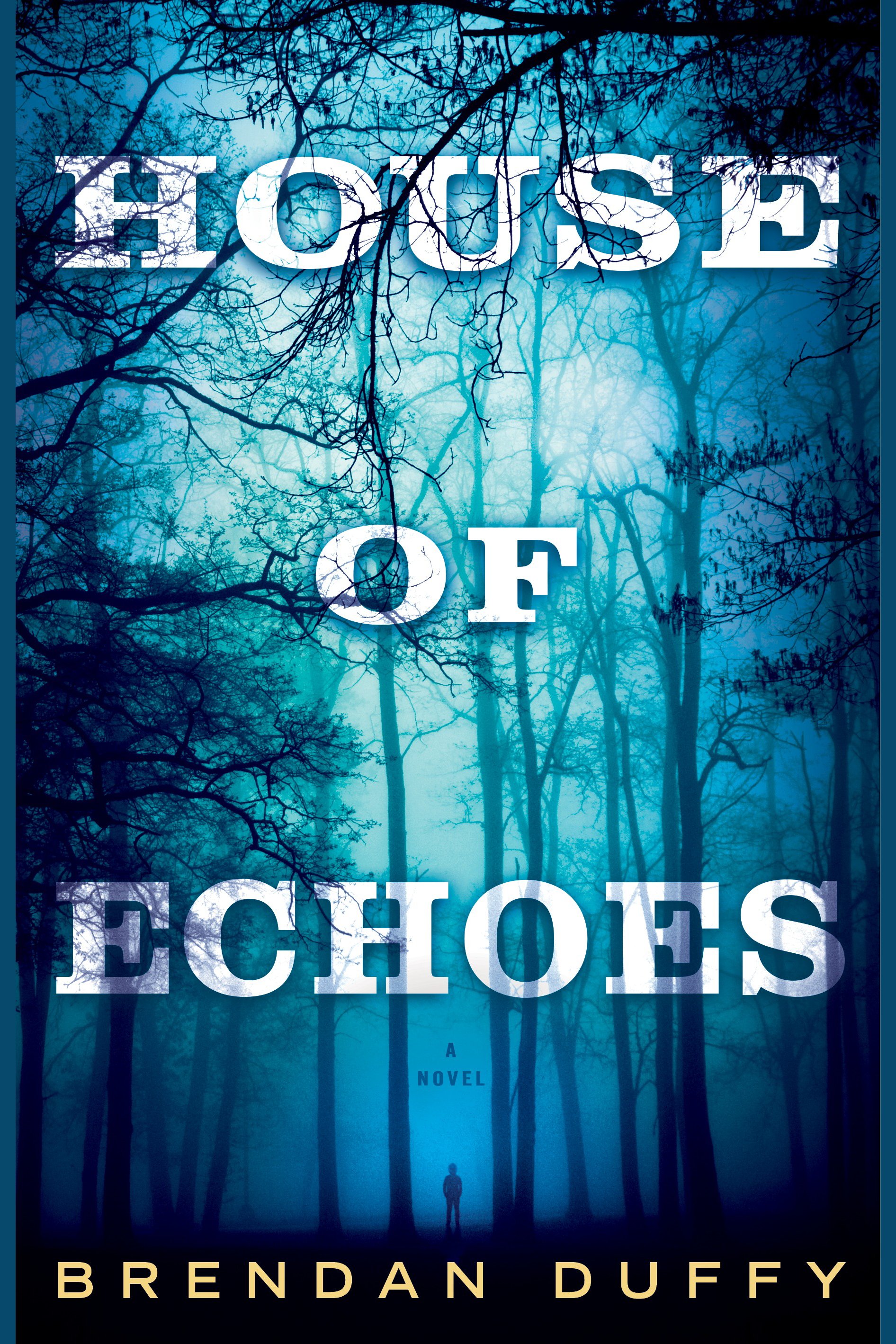 Umschlagbild für House of Echoes [electronic resource] : A Novel