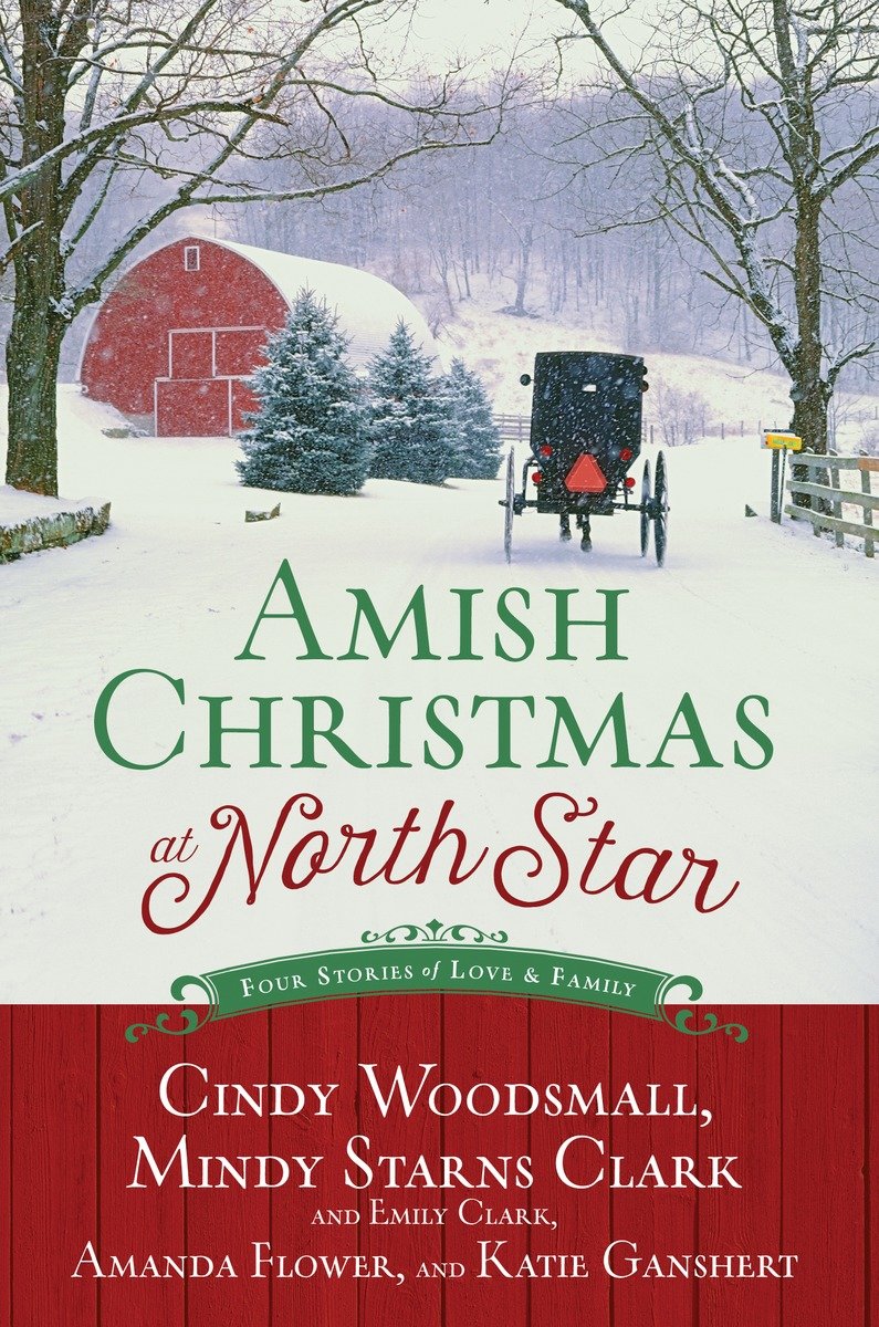 Cover image for Amish Christmas at North Star [electronic resource] : Four Stories of Love and Family
