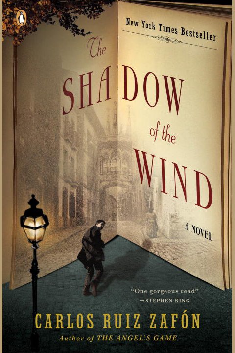 The shadow of the wind cover image
