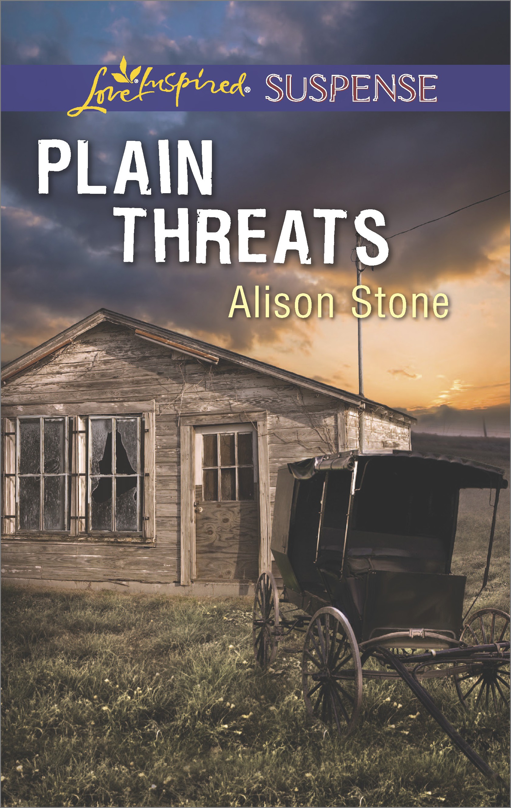 Cover image for Plain Threats [electronic resource] : A Riveting Western Suspense