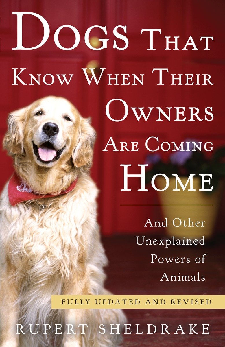 Dogs That Know When Their Owners Are Coming Home Fully Updated and Revised cover image