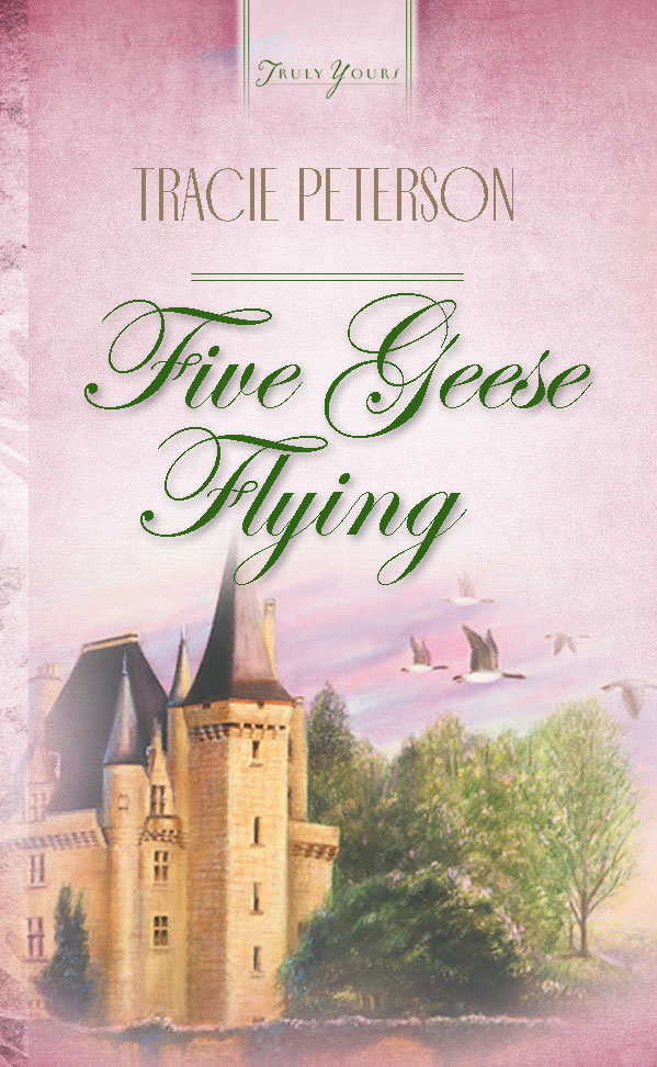 Umschlagbild für Five Geese Flying [electronic resource] :