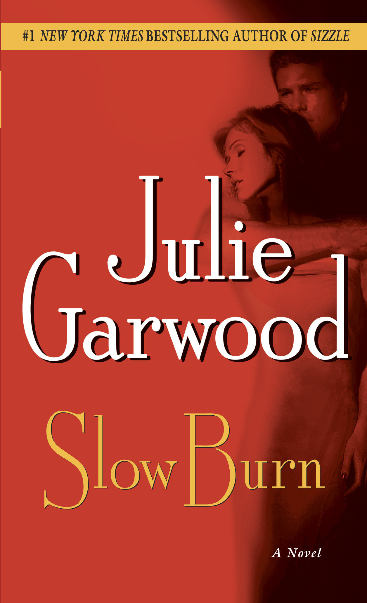 Cover image for Slow Burn [electronic resource] : A Novel